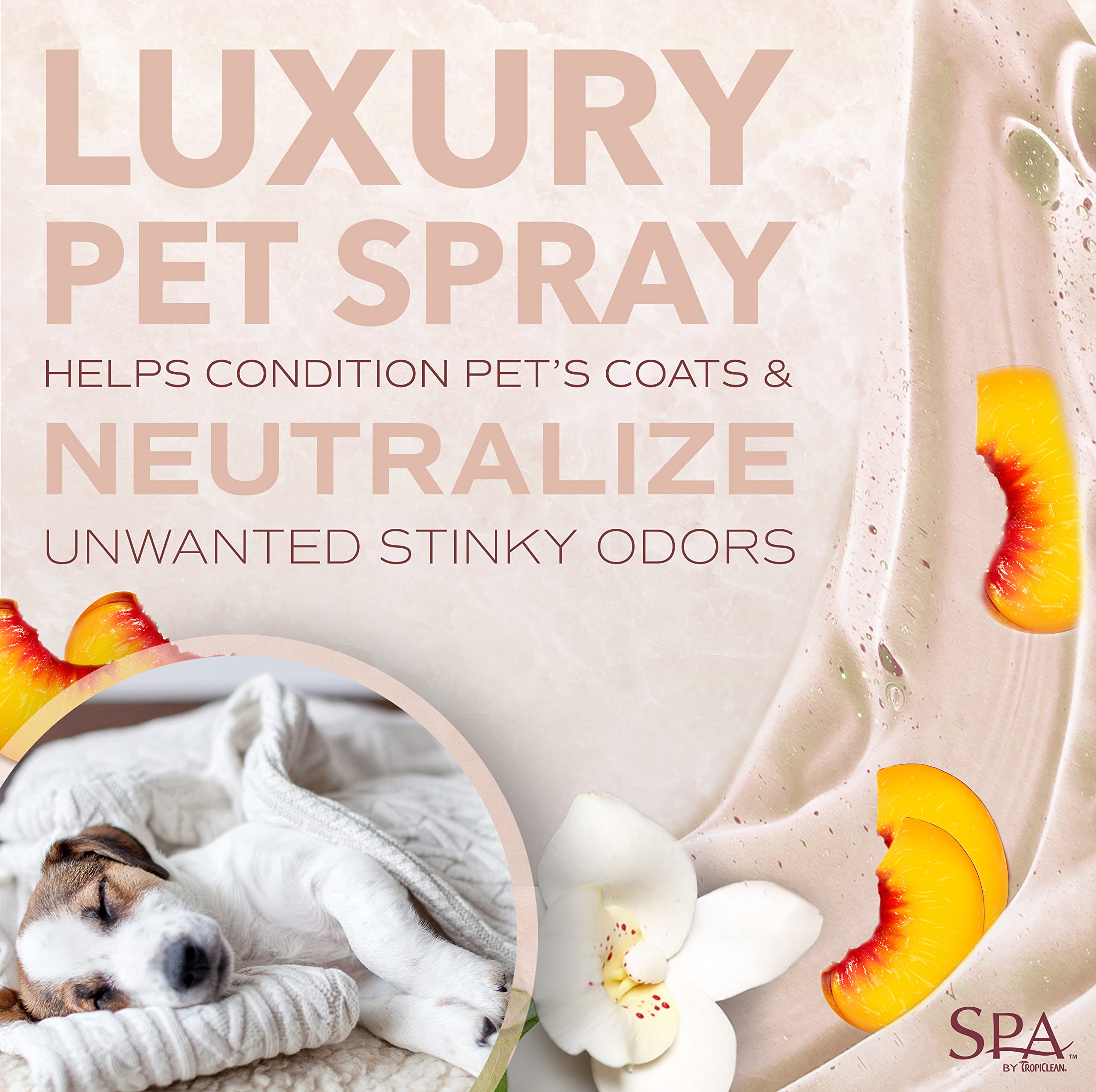 TropiClean SPA For Him Male Dog Cologne Spray Long Lasting | Sporty Scented Dog Deodorizing Spray | Naturally Derived Salon Grad