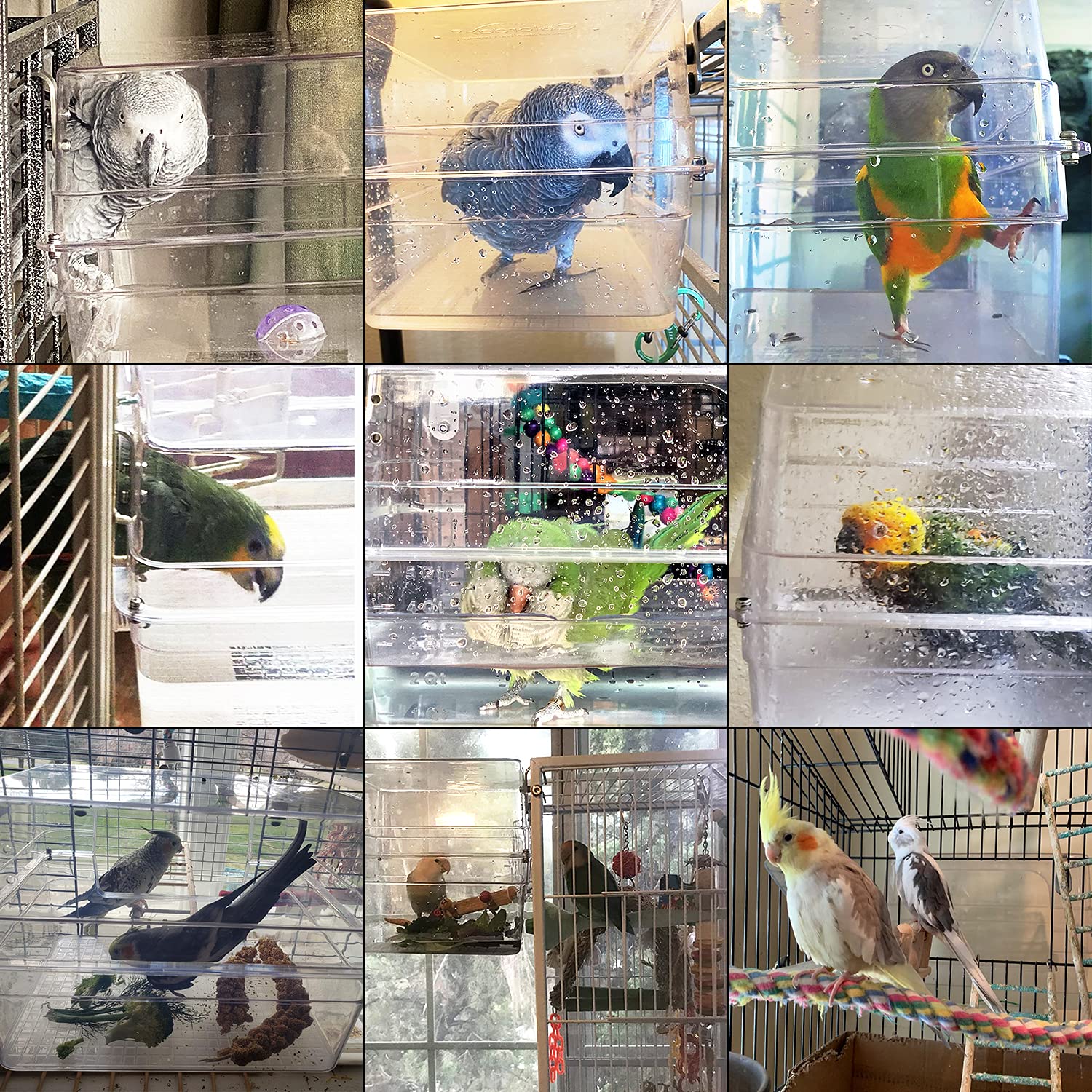 Colorday Large Bird Bath, Birds Bathtub For Amazon Parrots, African Grey, Conure, Cockatiel, Parakeet (13X11X8 Inch)