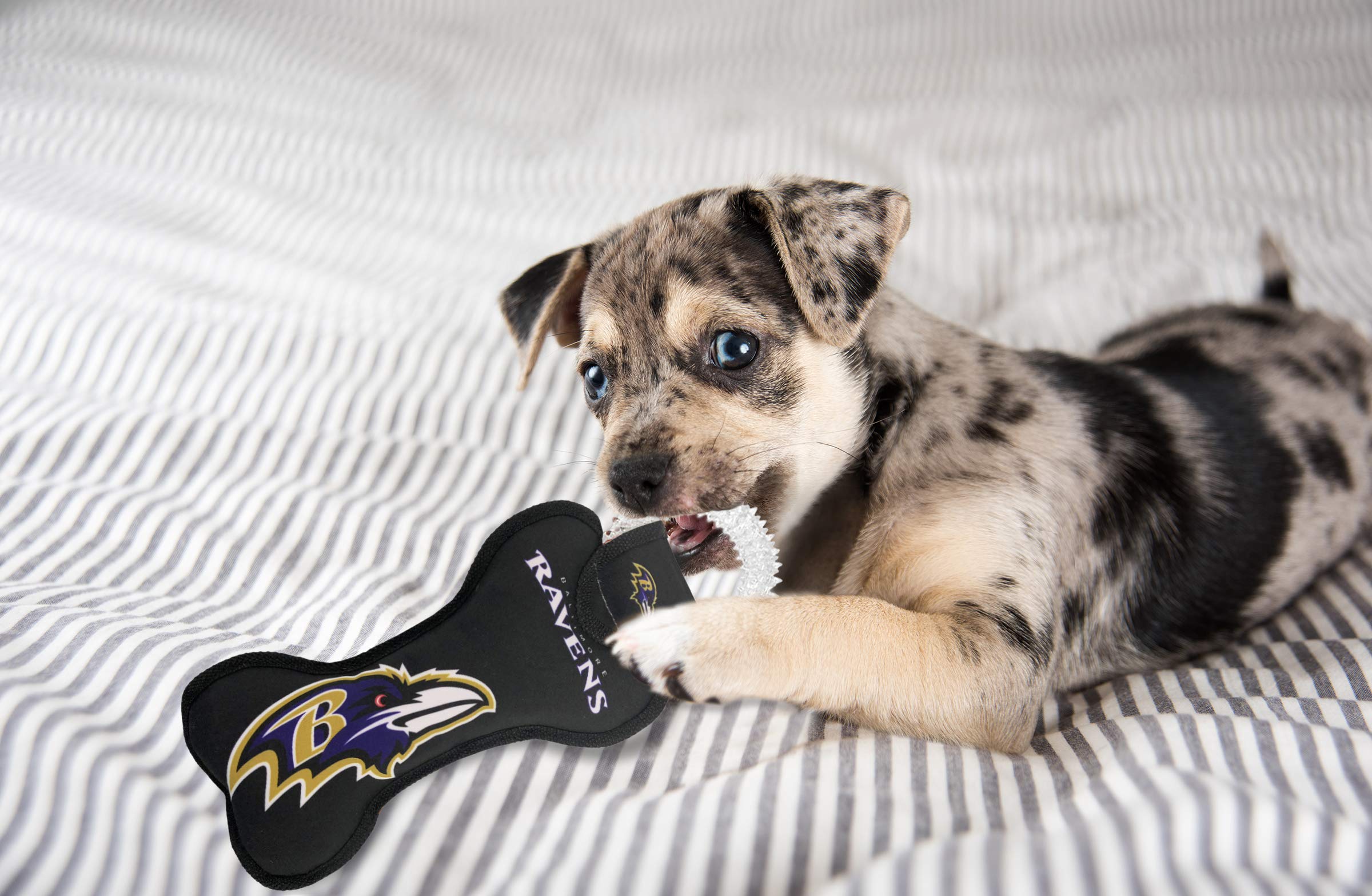 Pets First NFL Baltimore Ravens Dental Dog TUG Toy with Squeaker. Tough PET Toy for Healthy Fun, Teething & Cleaning Pet's Teeth
