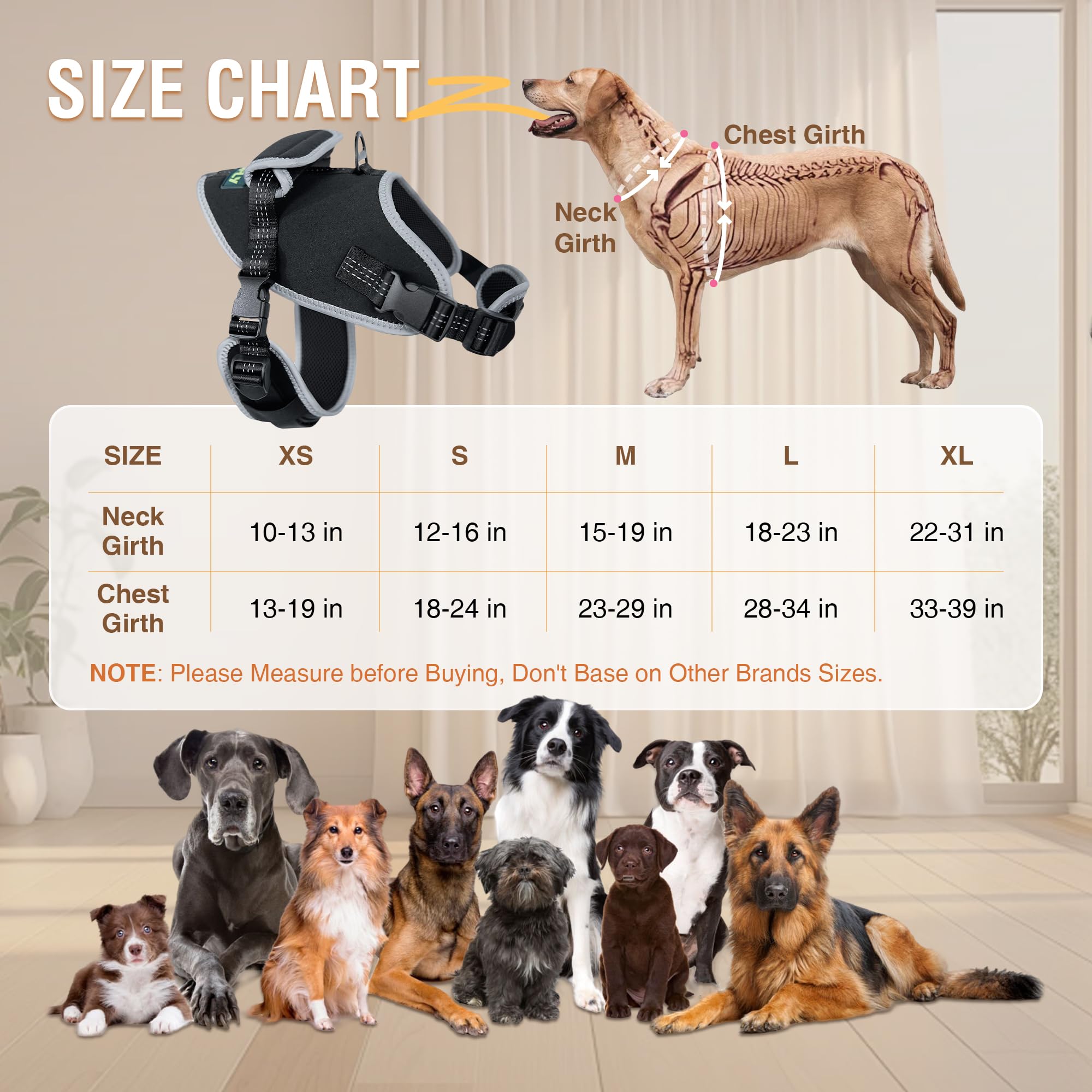 Dog Harness, No Pull Dog Harness With Reflective, No Choke Pet Vest, Adjustable Soft Padded Dog Vest, Dog Walking And Training H