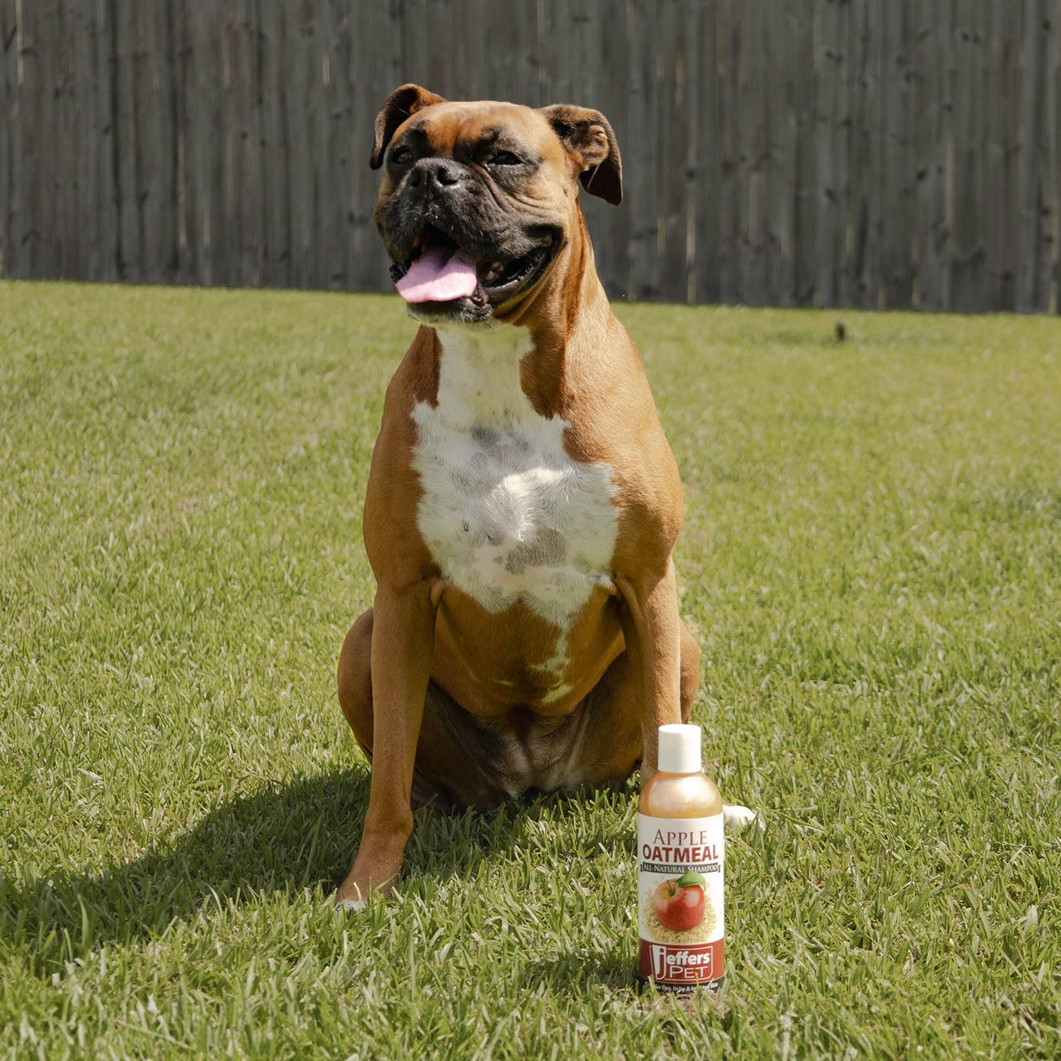 Jeffers Apple Oatmeal Dog & Cat Shampoo, Tearless Hypoallergenic, 17 Oz, Sensitive Skin, Soap & Detergent Free