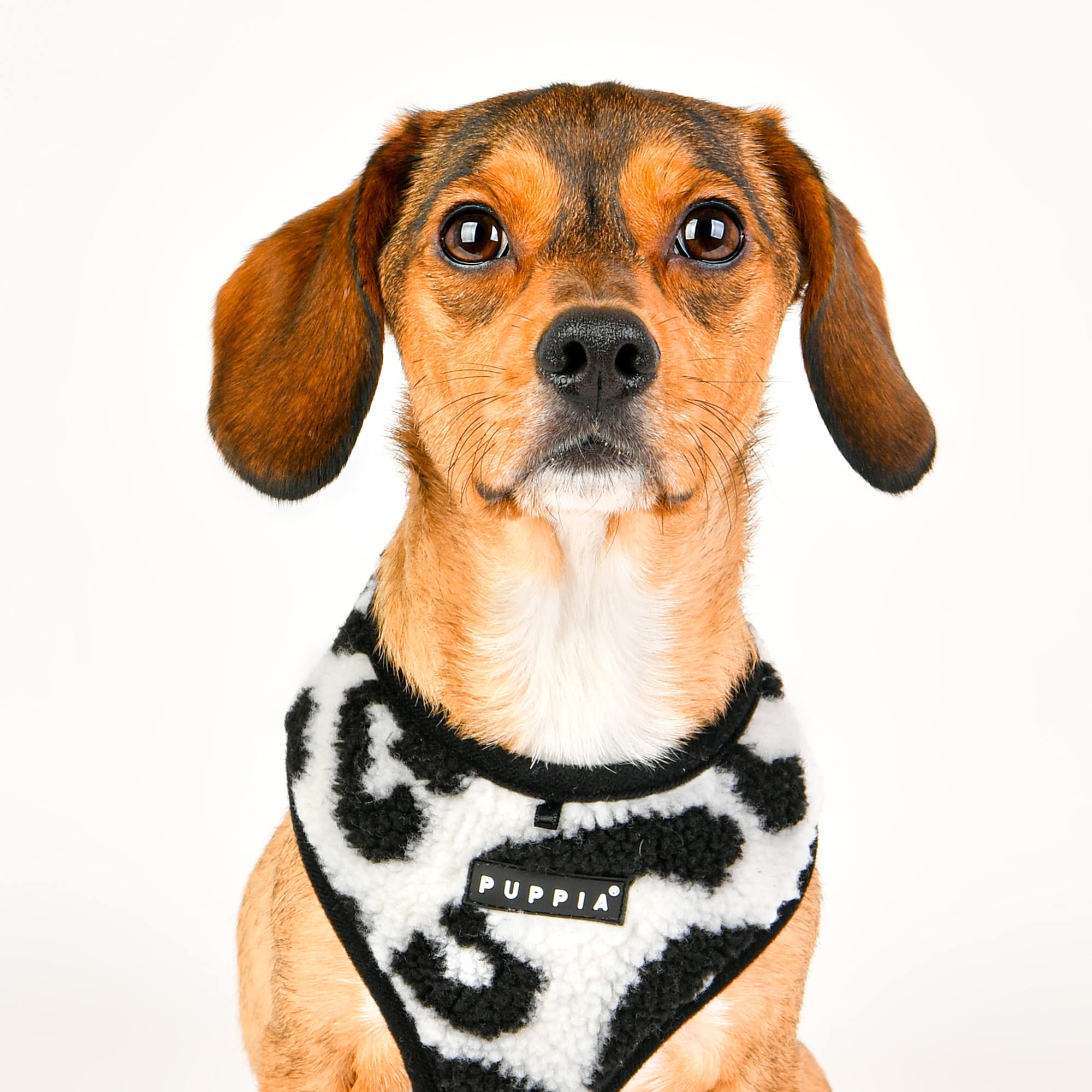 Puppia Serval Dog Harness Over-The-Head Warm Winter Leopard Pattern Adjustable Chest For Small And Medium Dog, Black, Small