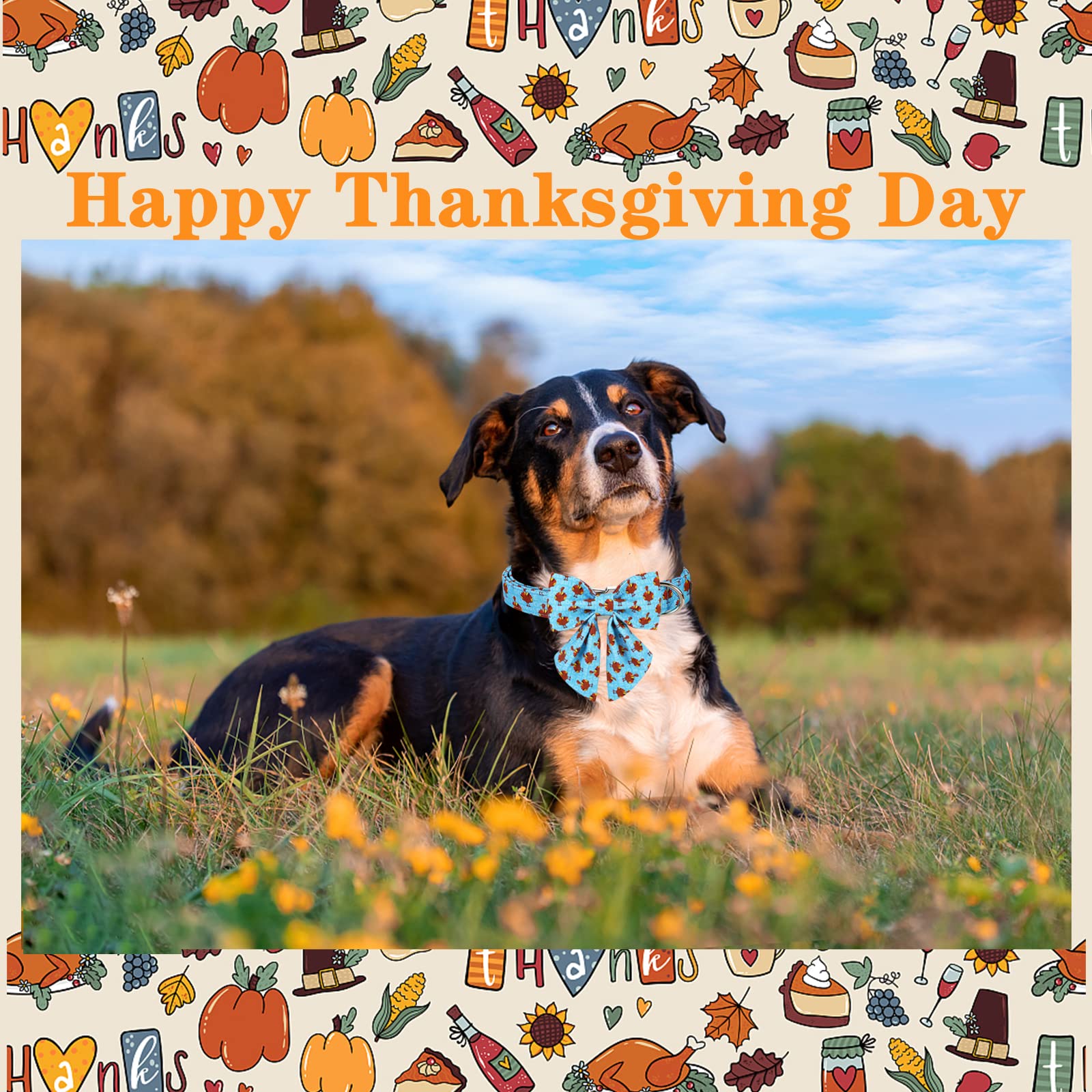 Unique Style Paws Thanksgiving Dog Collar With Bow Tie Blue Turkey Puppy Collar For Small Medium Large Dogs As Autumn Winter Pet