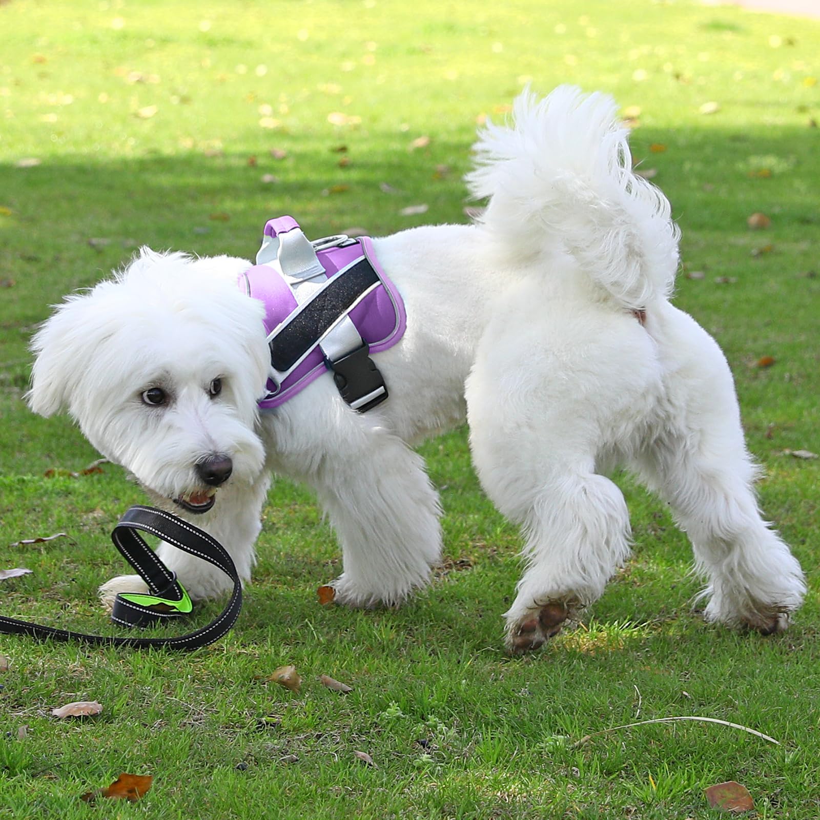Bolux Dog Harness, No-Pull Reflective Dog Vest, Breathable Adjustable Pet Harness With Handle For Outdoor Walking - No More Pulling, Tugging Or Choking (Lavender, Large (Pack Of 1))