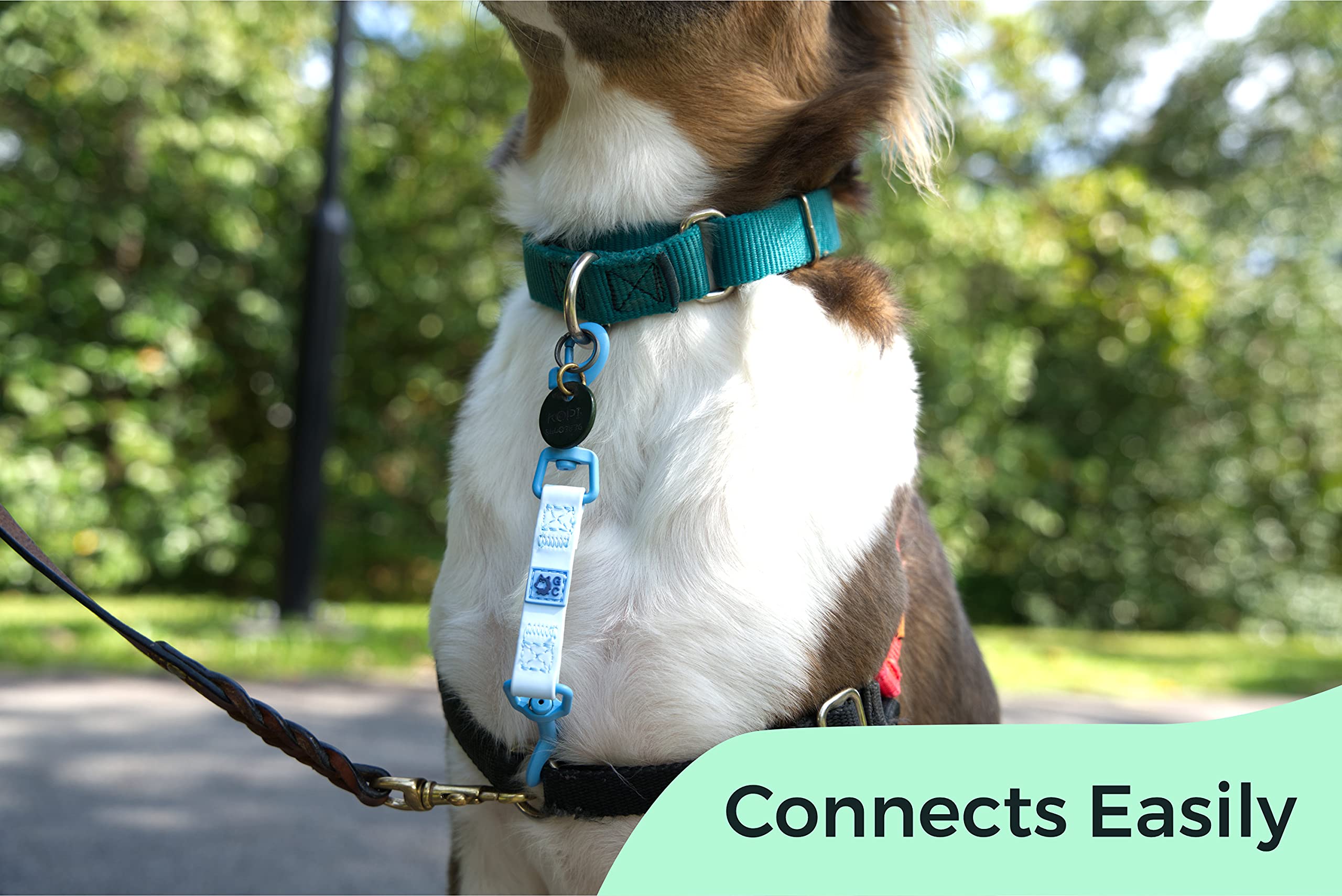 Gentle Creatures Collar Companion - Reinforced, Waterproof Poly Backup Clip For Dog Harness And Collar Safety Clip