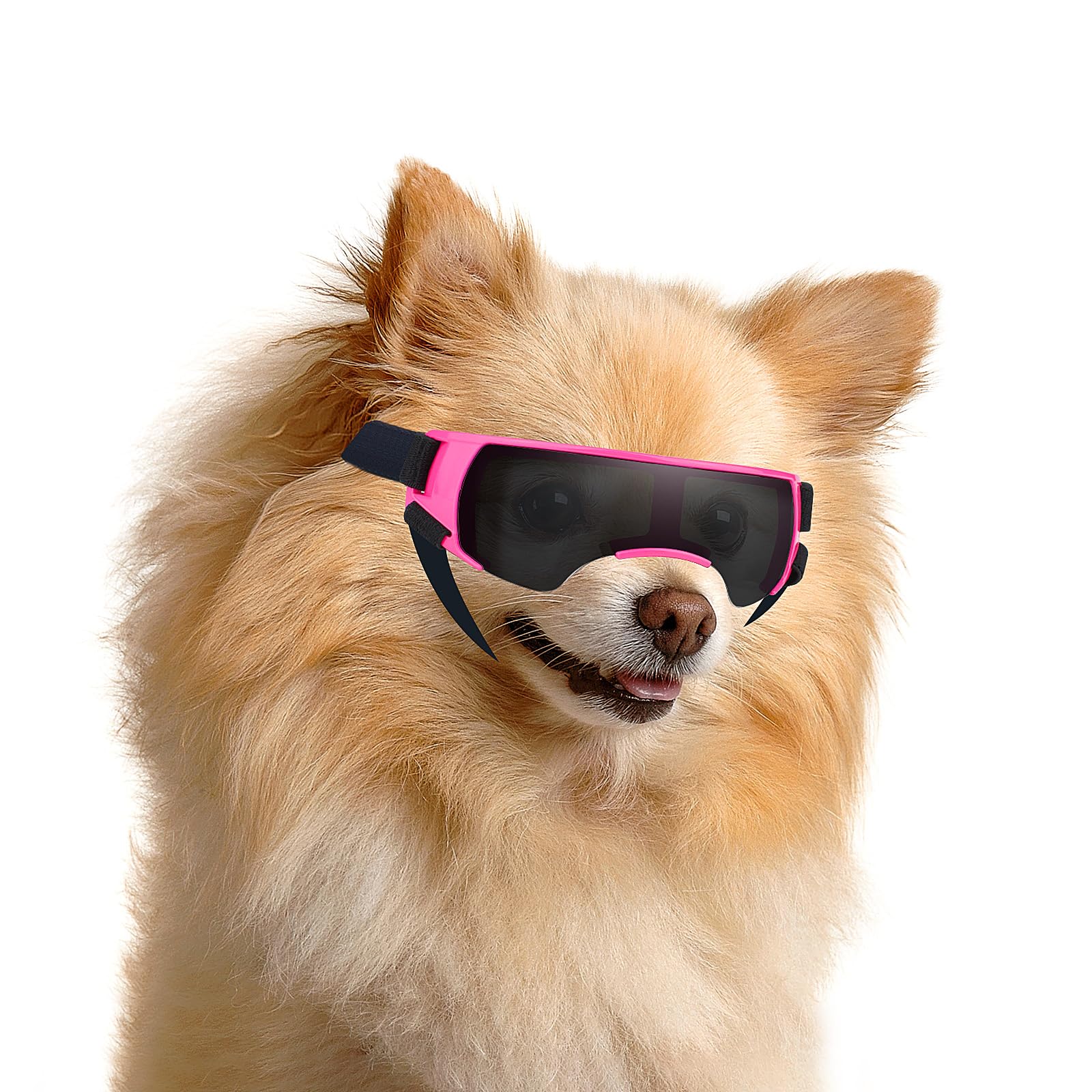 Enjoying Dog Goggles Small Breed, Puppy Sunglasses Uv Protection, Outdoor Ash Prevention, Driving Dog Eye Protection, Antifog Wi