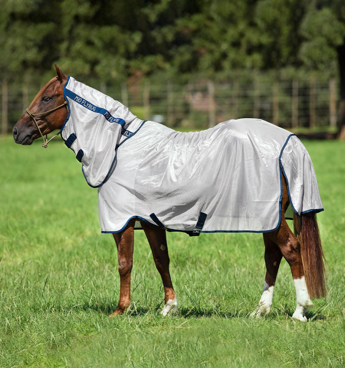 Horseware® Mio® Fly Sheet (No Fill)