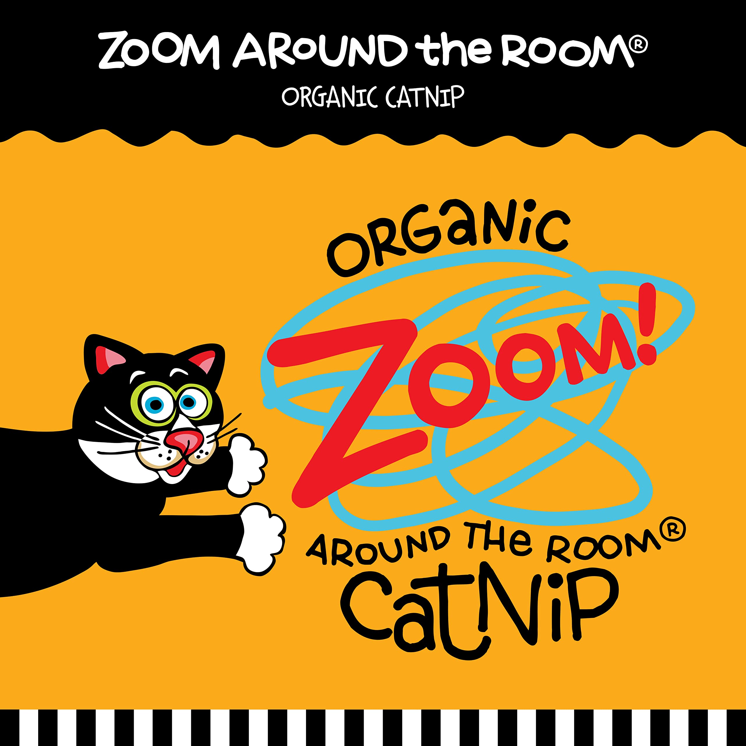 Doskocil Bamboo Pet Cam650037 2-Pack Fat Cat Springy Worms Catnip Toy