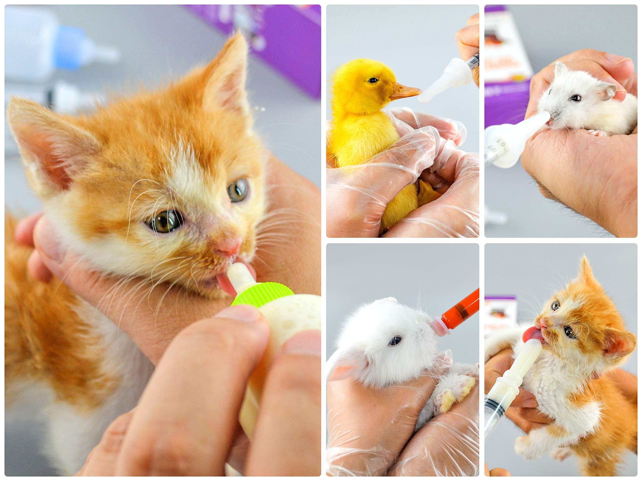 Puppy Kitten Bottle For Nursing, Newborn Pet Dog Cat Rabbit Feeding Bottles With Nipples Feeder Kit