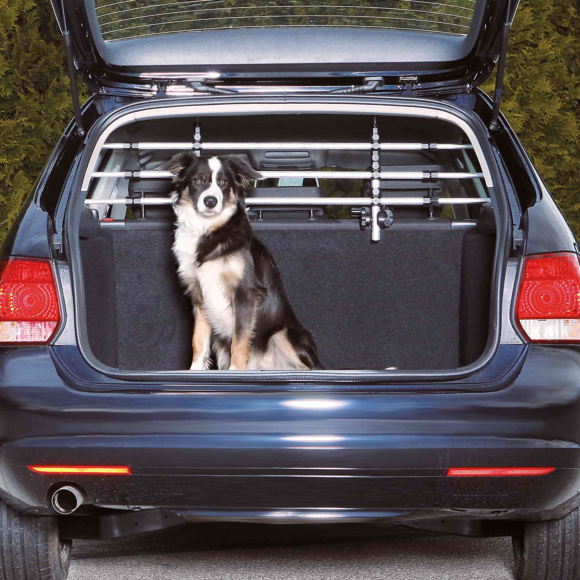 Trixie Pet Barrier For Vehicles, Dog Barrier For Cars And Suvs, Adjustable And Expandable, Aluminum, Medium,Silver/Black