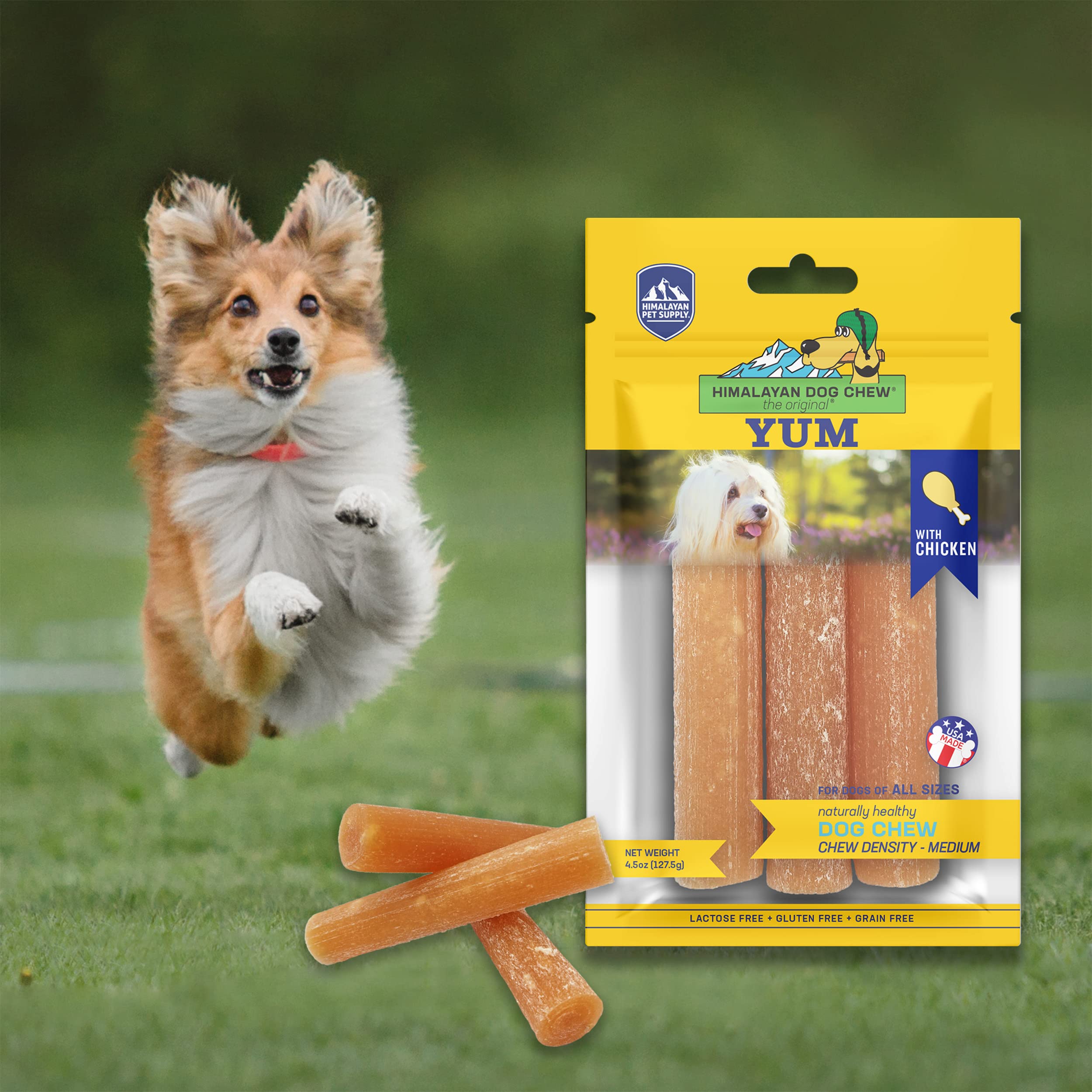 Himalayan Dog Chew Yak Cheese Dog Chews, Lactose Free & Grain Free, USA Made, for All Dog Breeds, Medium Density Cheese Chew, Re