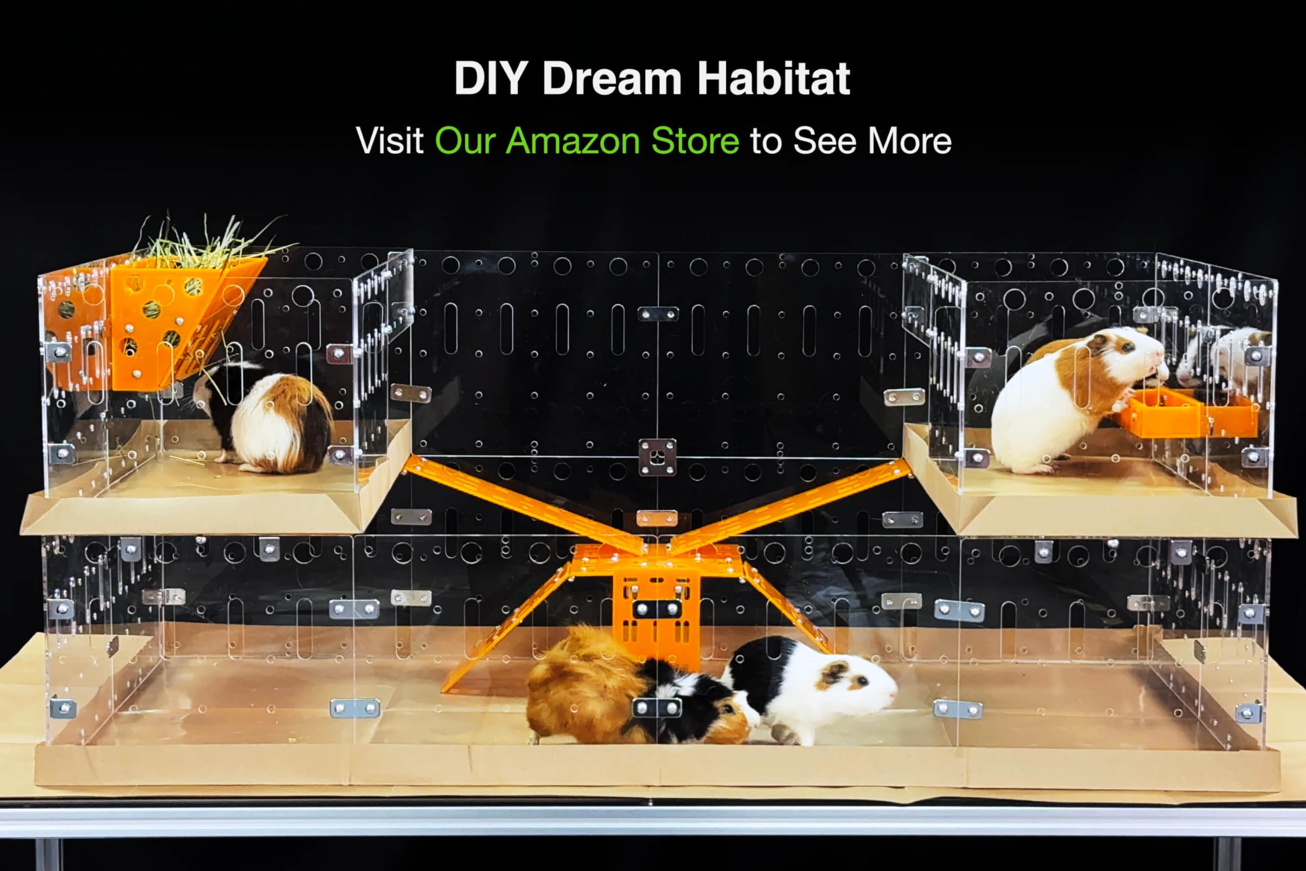 Guinealoft Acrylic Cage (Model-A) - Large 4X2Ft Open Cage For Guinea Pigs, Bunnies, Quails, Hedgehogs, Roaming Small Animals, Di