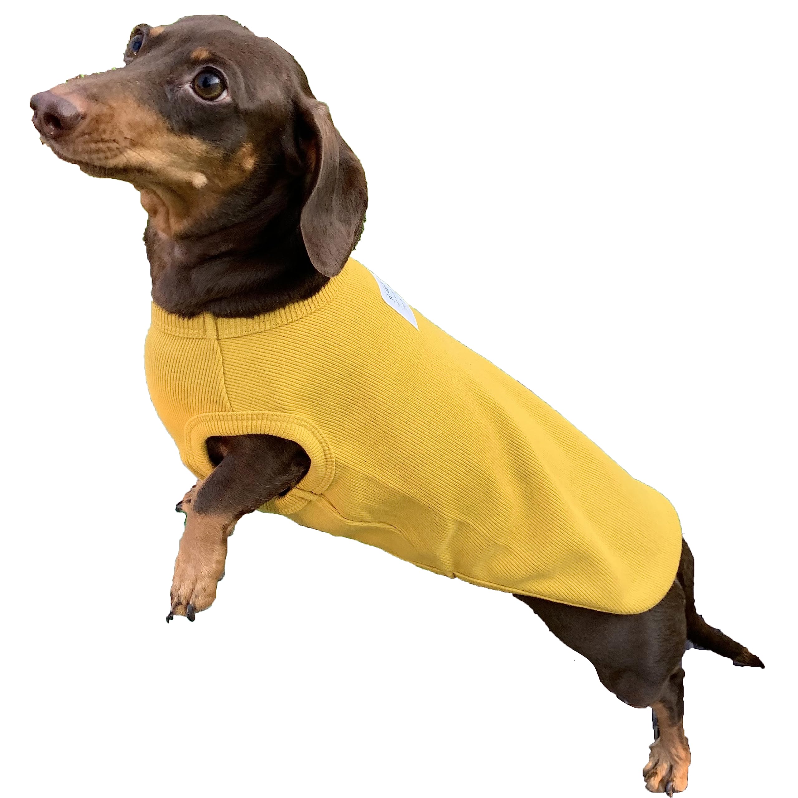 D Doggy Star Dachshund Clothes For Dogs Mini And Adults T Shirts (M,Solid Mustard)