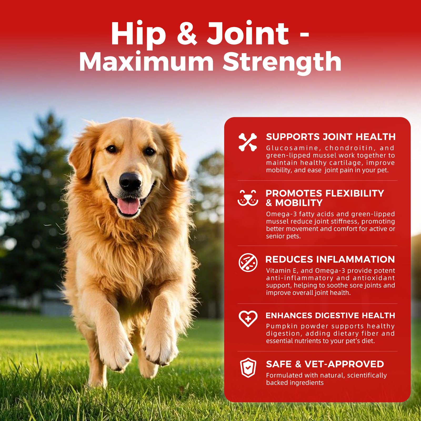 Dog Hip and Joint Supplement with Green-Lipped Mussels, Dog Pain Relief - Glucosamine, Chondroitin, Vitamin E, Omega 3 - Treats