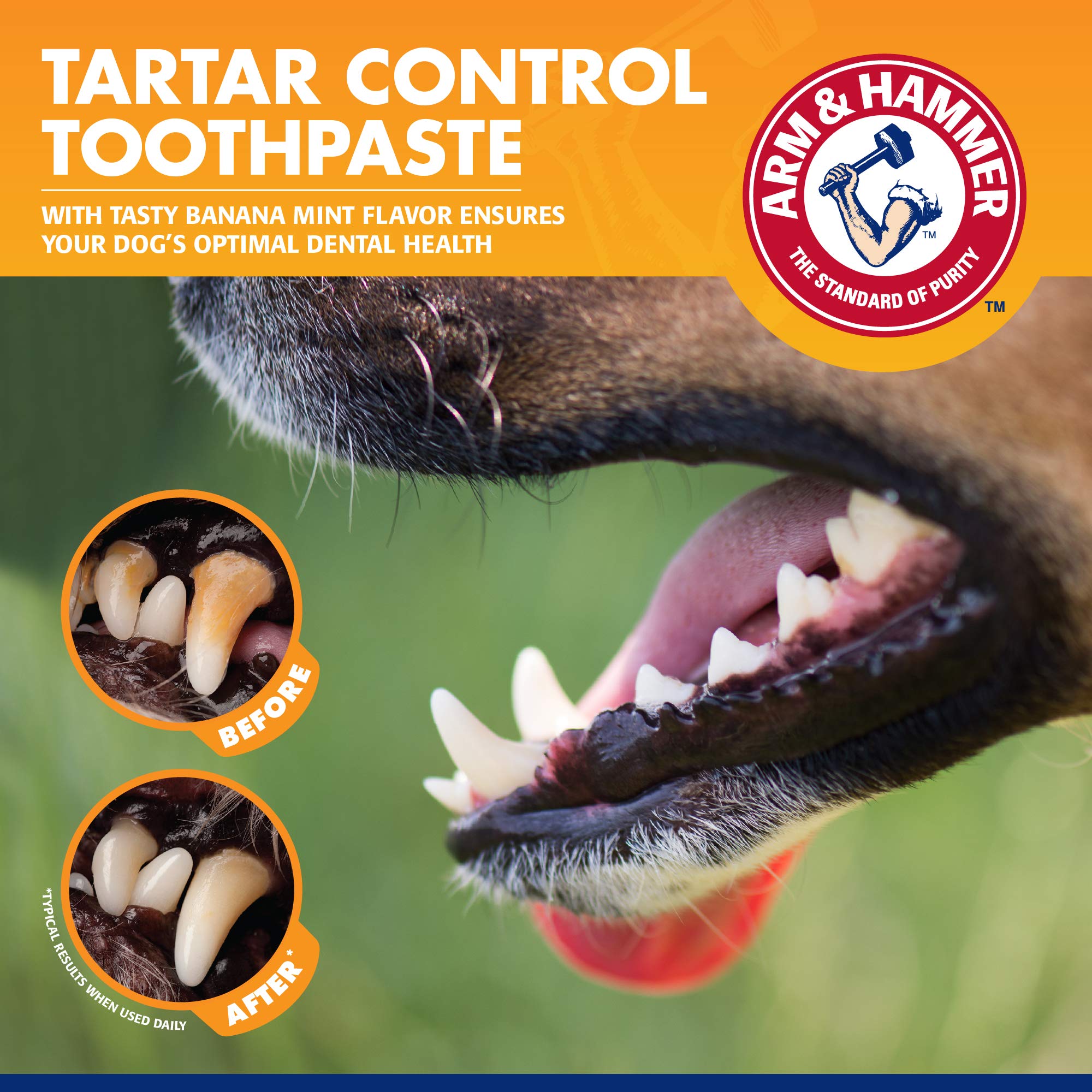 Arm & Hammer for Pets Tartar Control Kit for Dogs Contains Toothpaste, Toothbrush & Fingerbrush Reduces Plaque & Tartar Buildup,