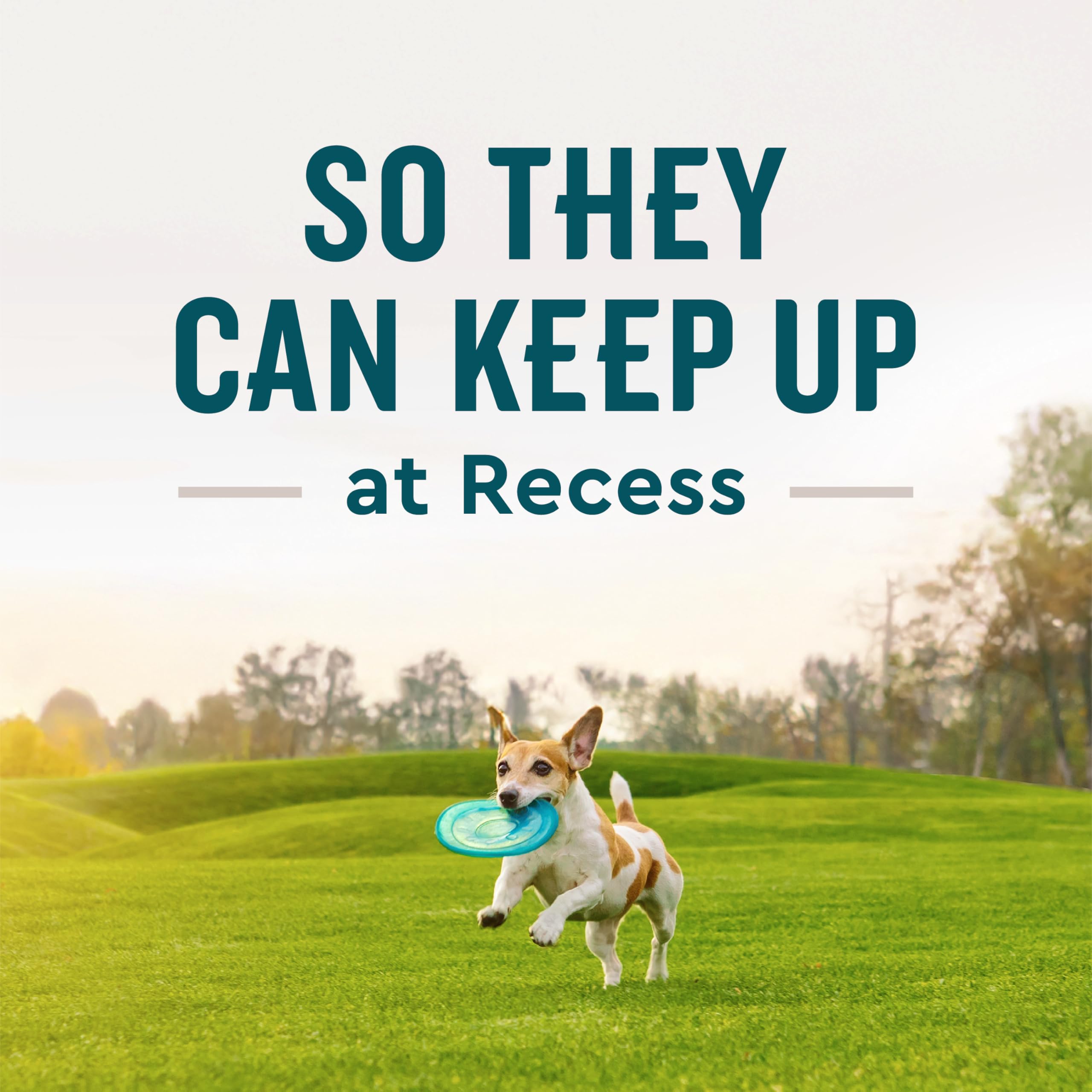 VetIQ Glucosamine Hip & Joint Supplement for Dogs, 180 Soft Chews, Dog Joint Support Supplement with MSM and Krill, Dog Health S