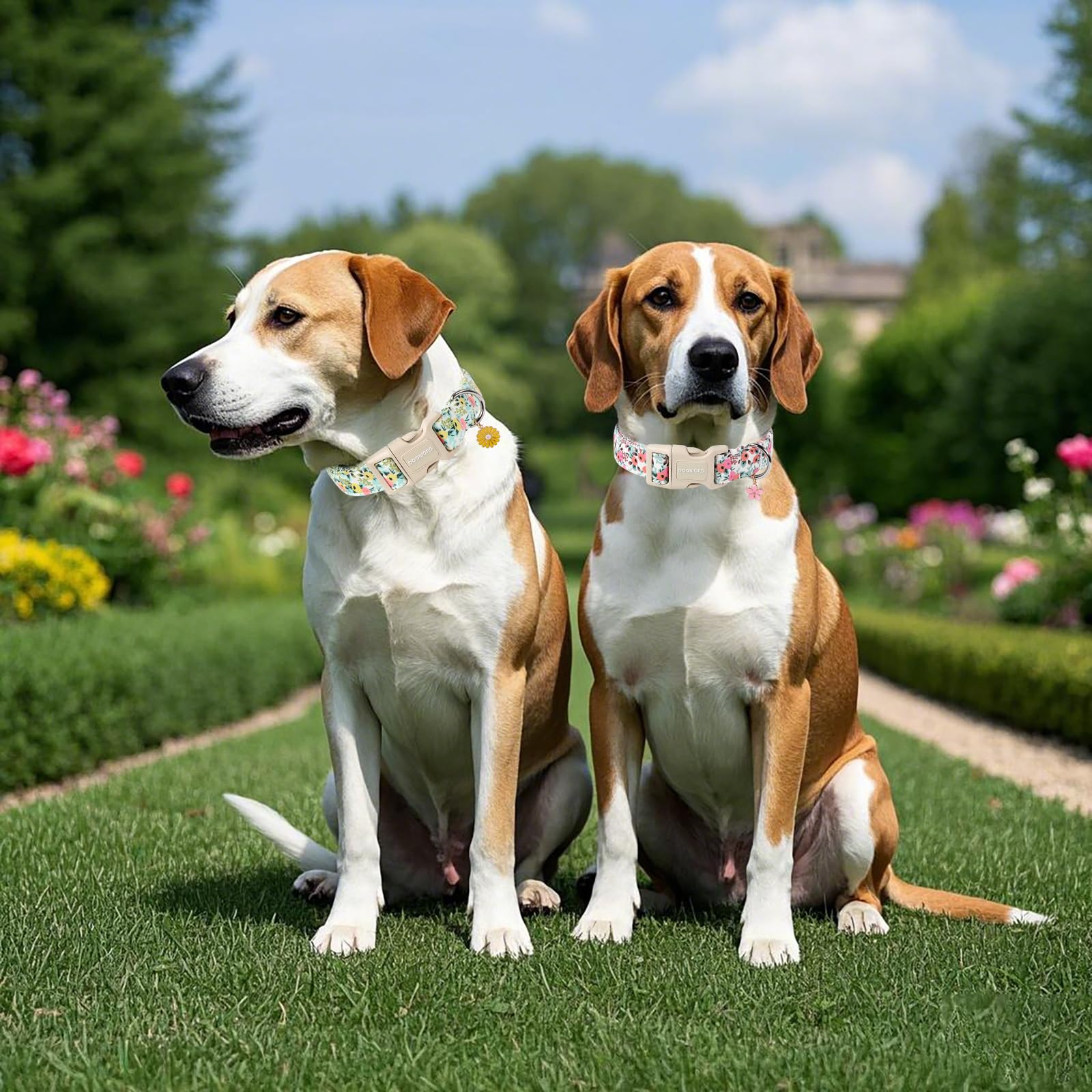 Dogwong Flower Cotton Dog Collar, Spring Summer Cute Pink Dog Collar Durable Soft Fabric Pet Dog Collars Female Girl Necklace Fo