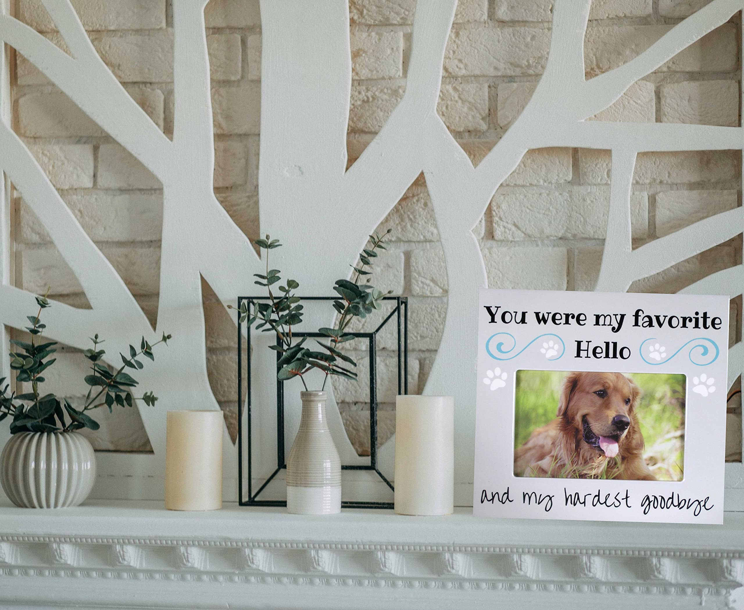 Banberry Designs Pet Remembrance Gift - Pet Memorial Picture Frame - Bereavement Photo Frame For Dog Or Cat - You Were My Favori