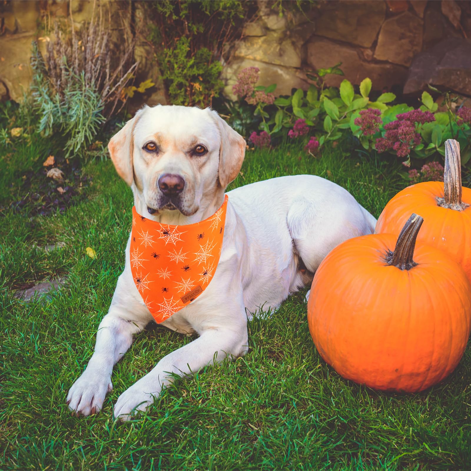 Ptdecor Halloween Dog Bandana, Reversible Holiday Pet Puppy Scarf, Multi Size, Triangle Halloween Bandanas For Extra Large Dogs