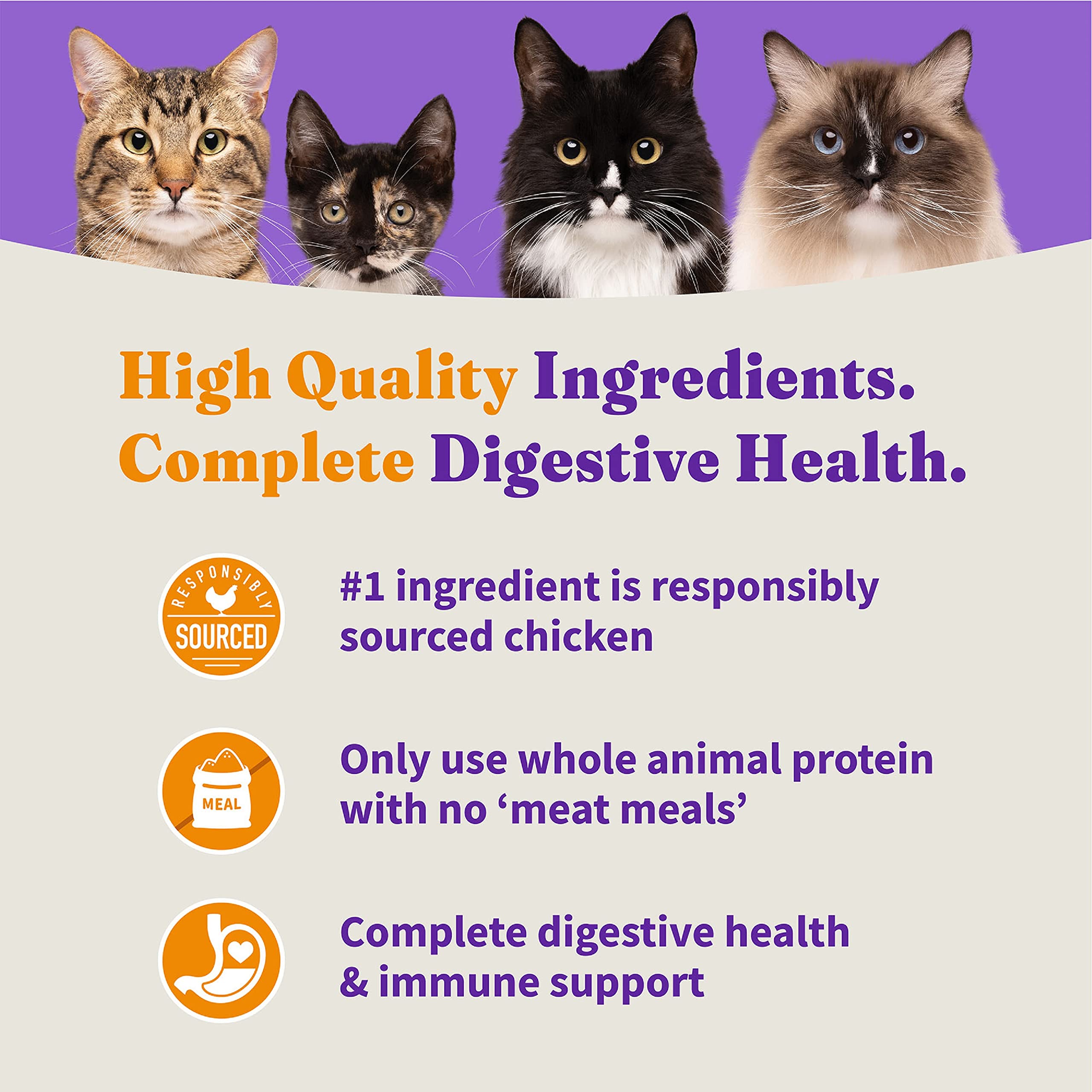 Halo Holistic Cage Free Chicken Cat Food, Grain Free Dry Cat Food, For Healthy Weight Support, Kibble for Indoor Cats, 10 lb Bag
