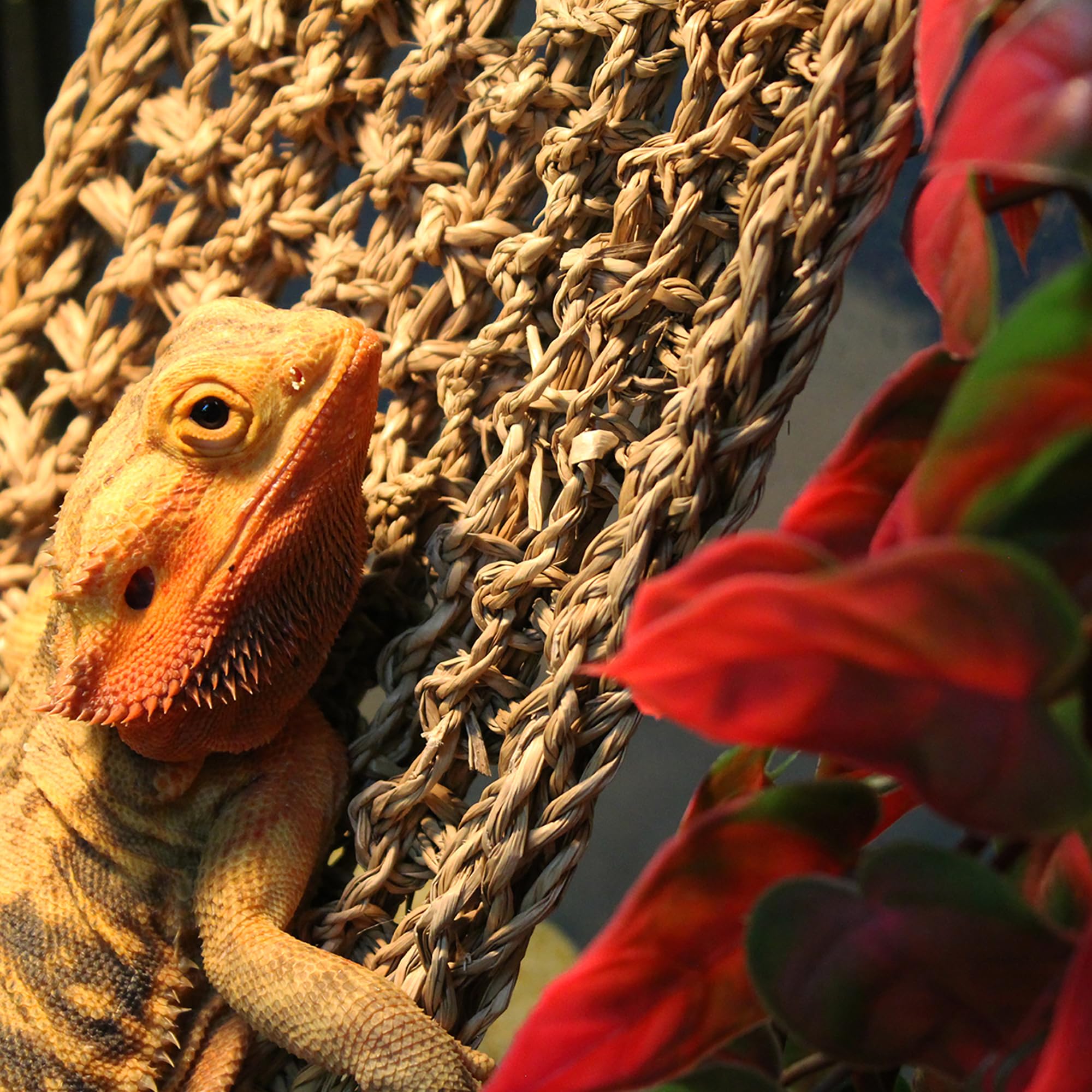 Penn-Plax Reptology Decorative Hanging Terrarium Plant Vines For Reptiles And Amphibians – 24” Length – Green & Red