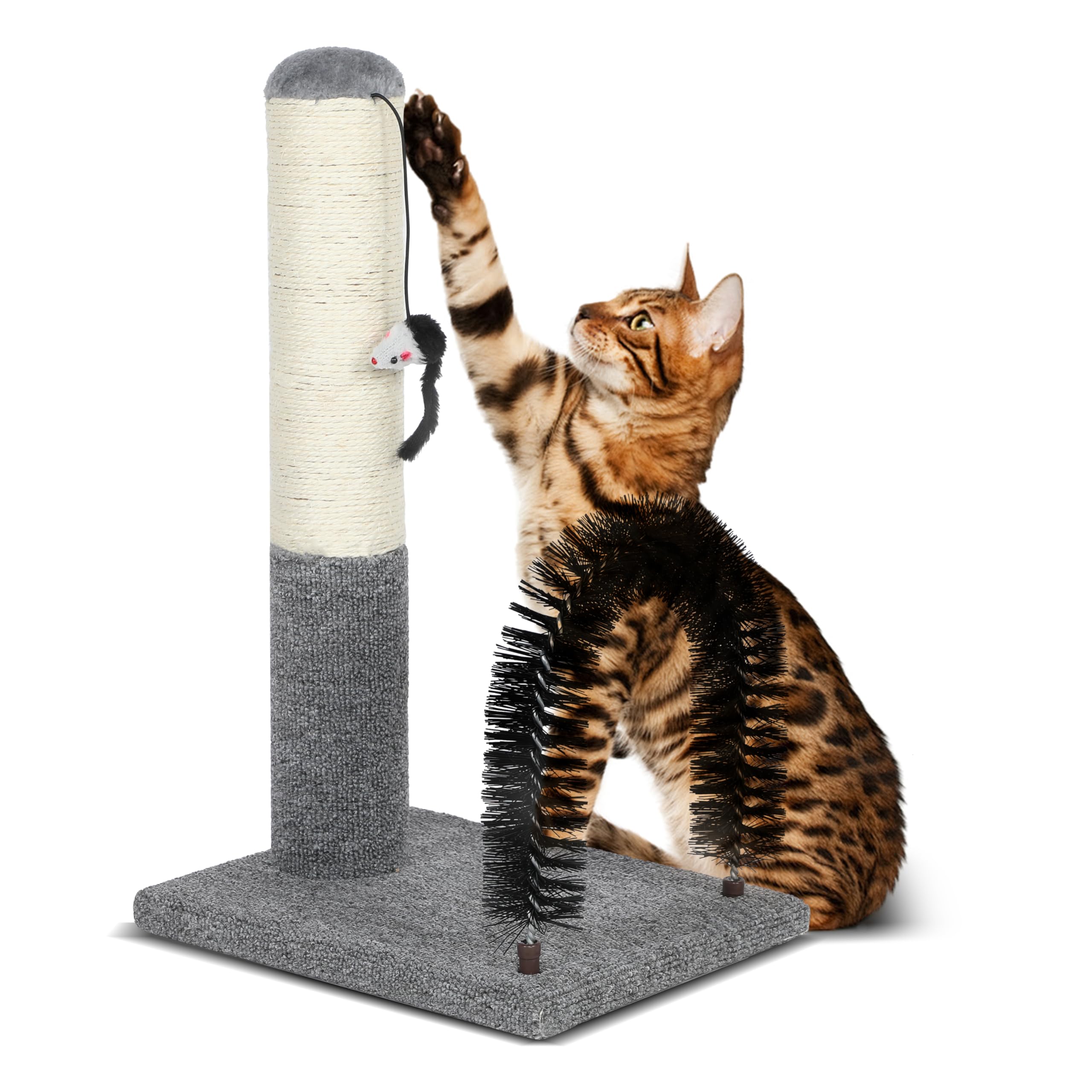 18 Inch Cat Scratching Post Pad with Self Groomer & Dangling Ball, Indoor Scratcher for Kittens & Cats, Protect Furniture
