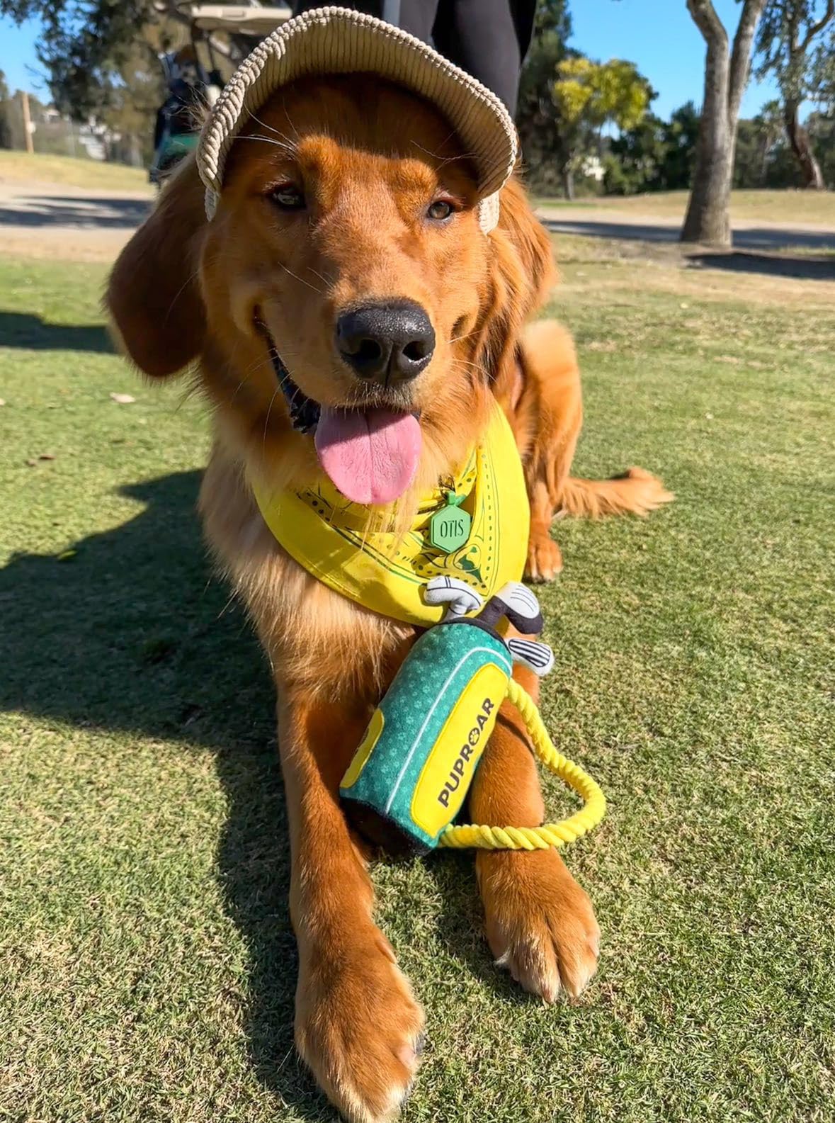 PUPROAR Golf Dog Toy - Medium Green Squeaker Rope & Crinkle - Fun Christmas & Birthday Gift for Dogs