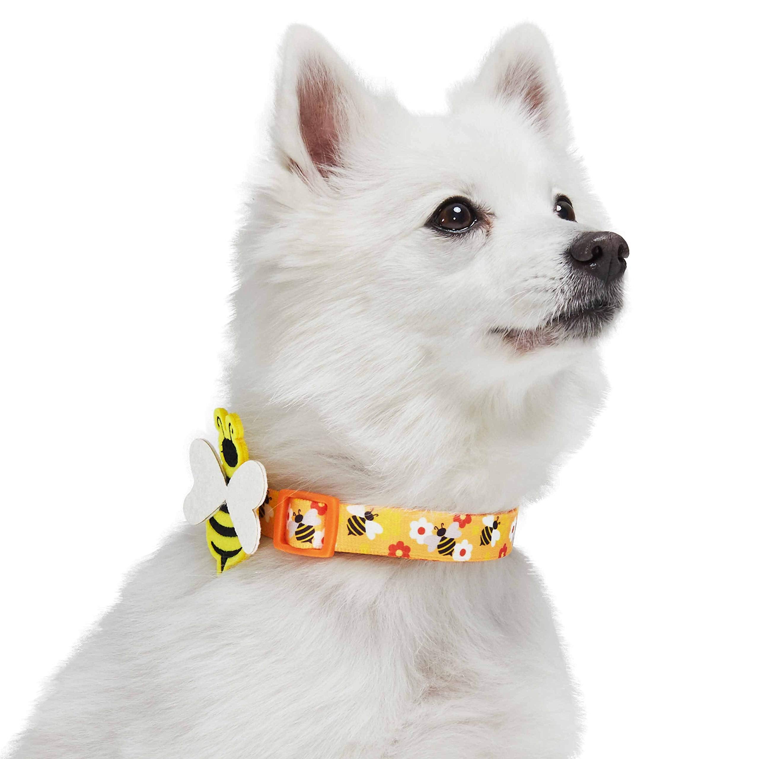 Blueberry Pet Busy Bees Adjustable Dog Collar With Detachable D  Cor, Large, Neck 18''-26''
