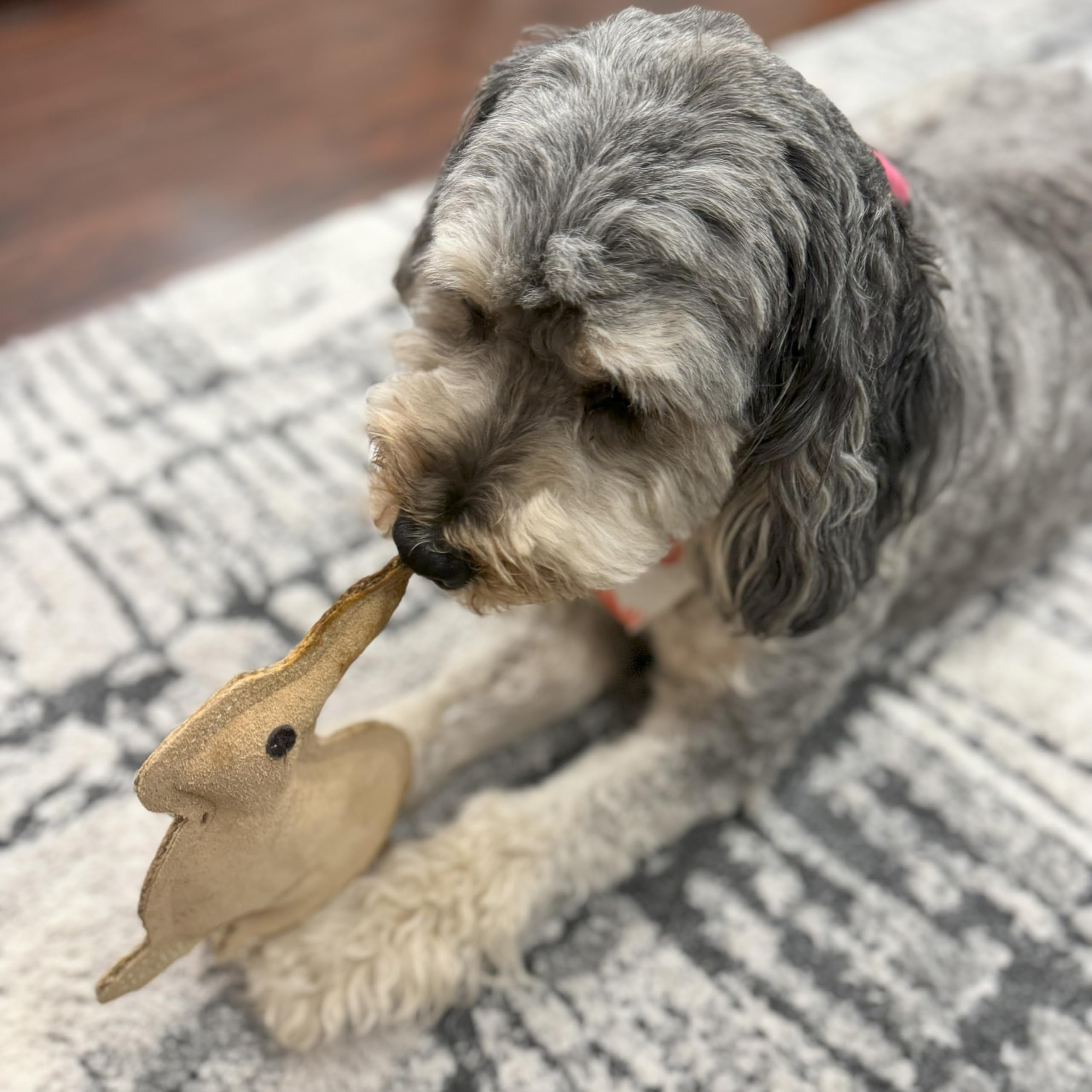 SPOT Dura-Fused Leather Rabbit - Durable Dog Toy with Squeaker, Real Leather & Jute Fabric, Interactive Toy for Moderate & Aggre