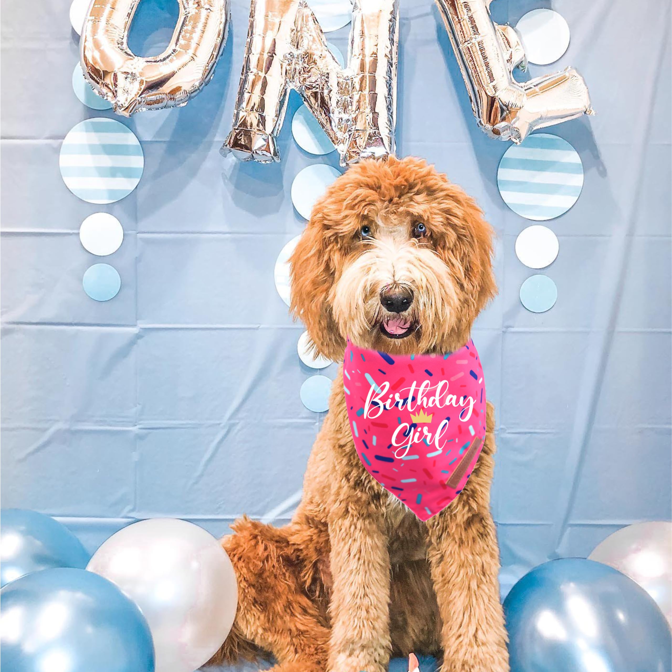 Realeaf Birthday Girl Dog Bandana, Dog Birthday Party Supplies,Premium Durable Fabric, Bandana For Small And Medium Dogs Pets (P