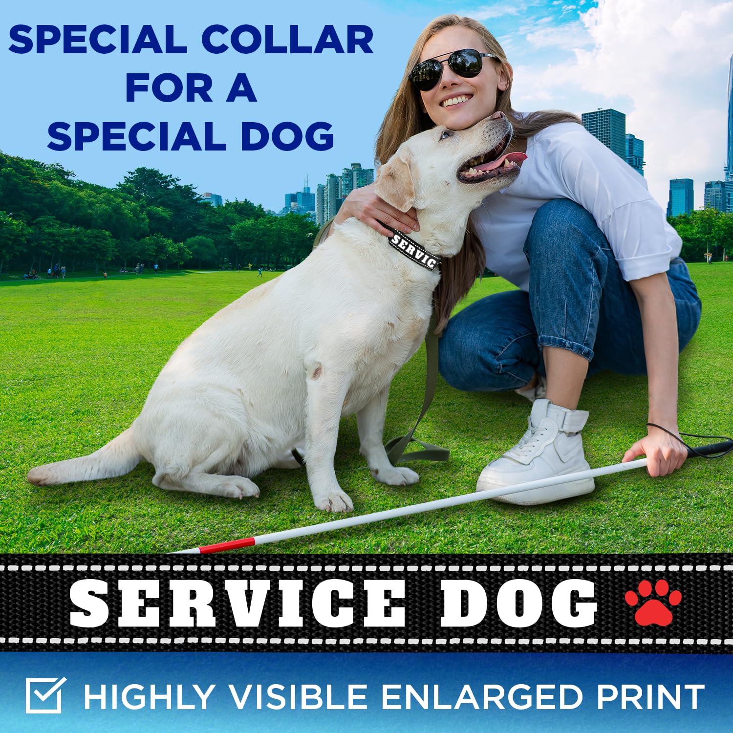 Teceum Reflective Pet Collar - Black - Service Dog - Xs - Basic Nylon Dog Collar - Quick Release Buckle - Fits Small, Medium And