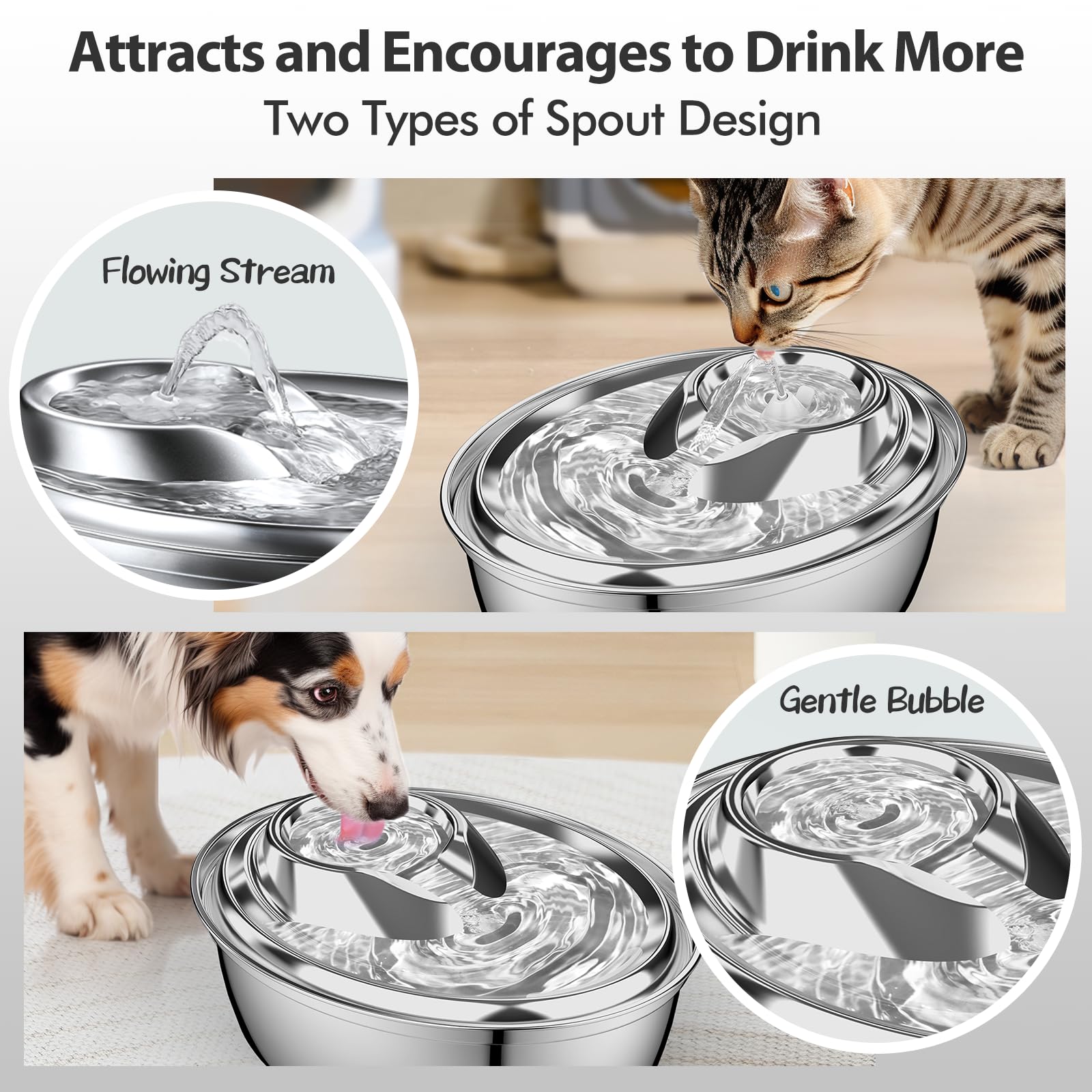 Orsda Cat Water Fountain Stainless Steel, 2L/67Oz Pet Fountain For Cats Inside, Automatic Dog Drinking Dispenser Cat Feeding & W