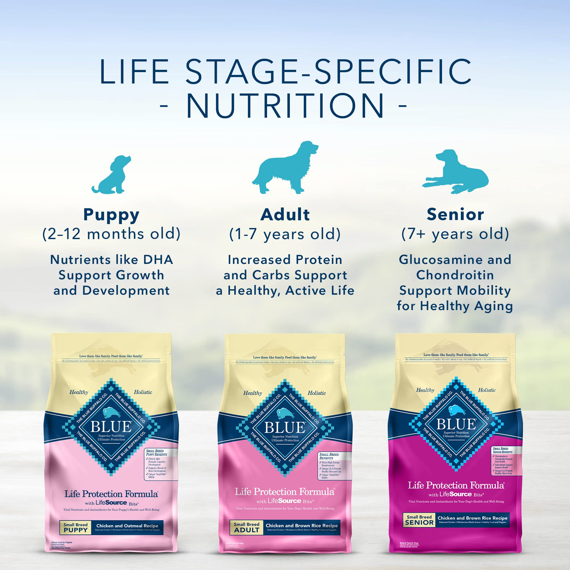 Blue Buffalo Life Protection Formula Small Breed Puppy Dry Dog Food with DHA, Vital Nutrients & Antioxidants, Made with Natural