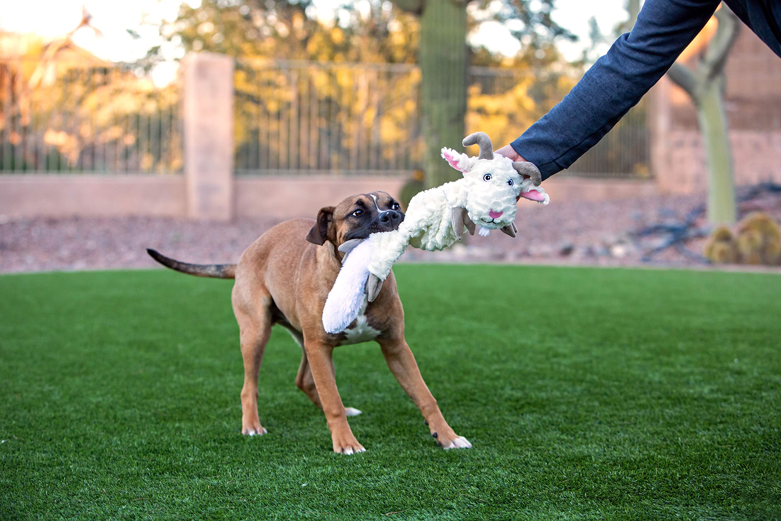 Jolly Pets Fat Tail Small Horse, JTFT57