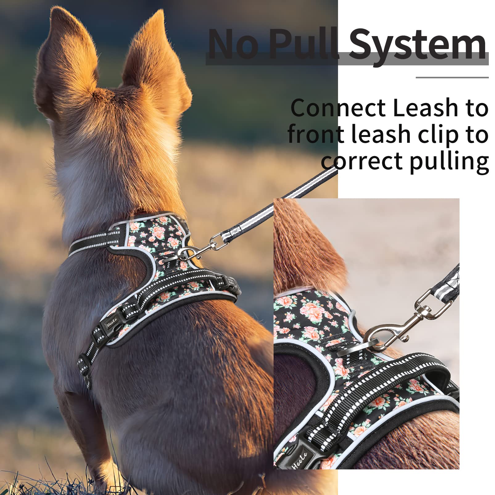 HEELE Dog Harness, No Pull Adjustable Padded Reflective Harness for Small Medium Large Dogs with Handle for Walking Training, Fl