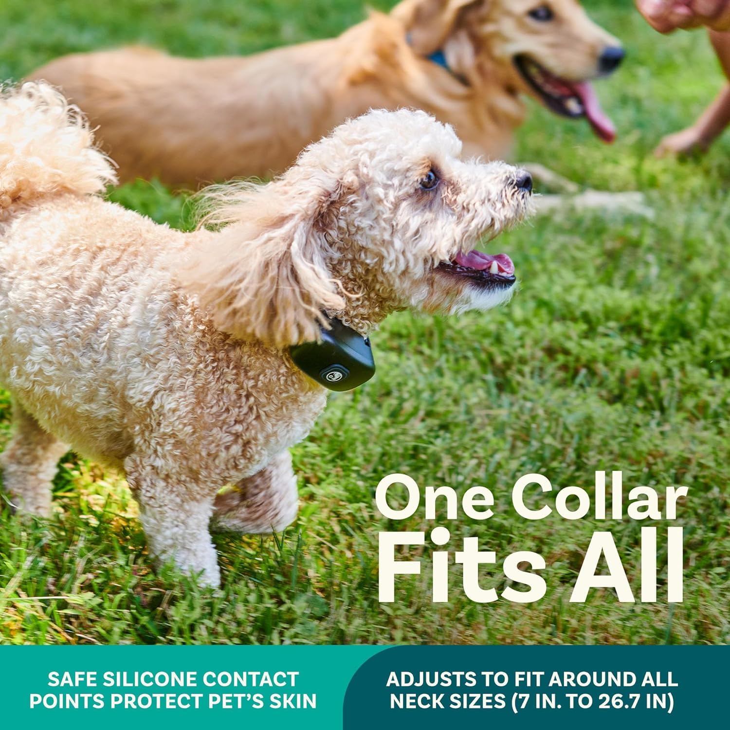 Petcove Wireless Dog Fence & Remote Training Collar, 2.4Ghz Non-Gps Fence For Dogs Wireless, 2 In 1 Dog Fence Wireless System Fo