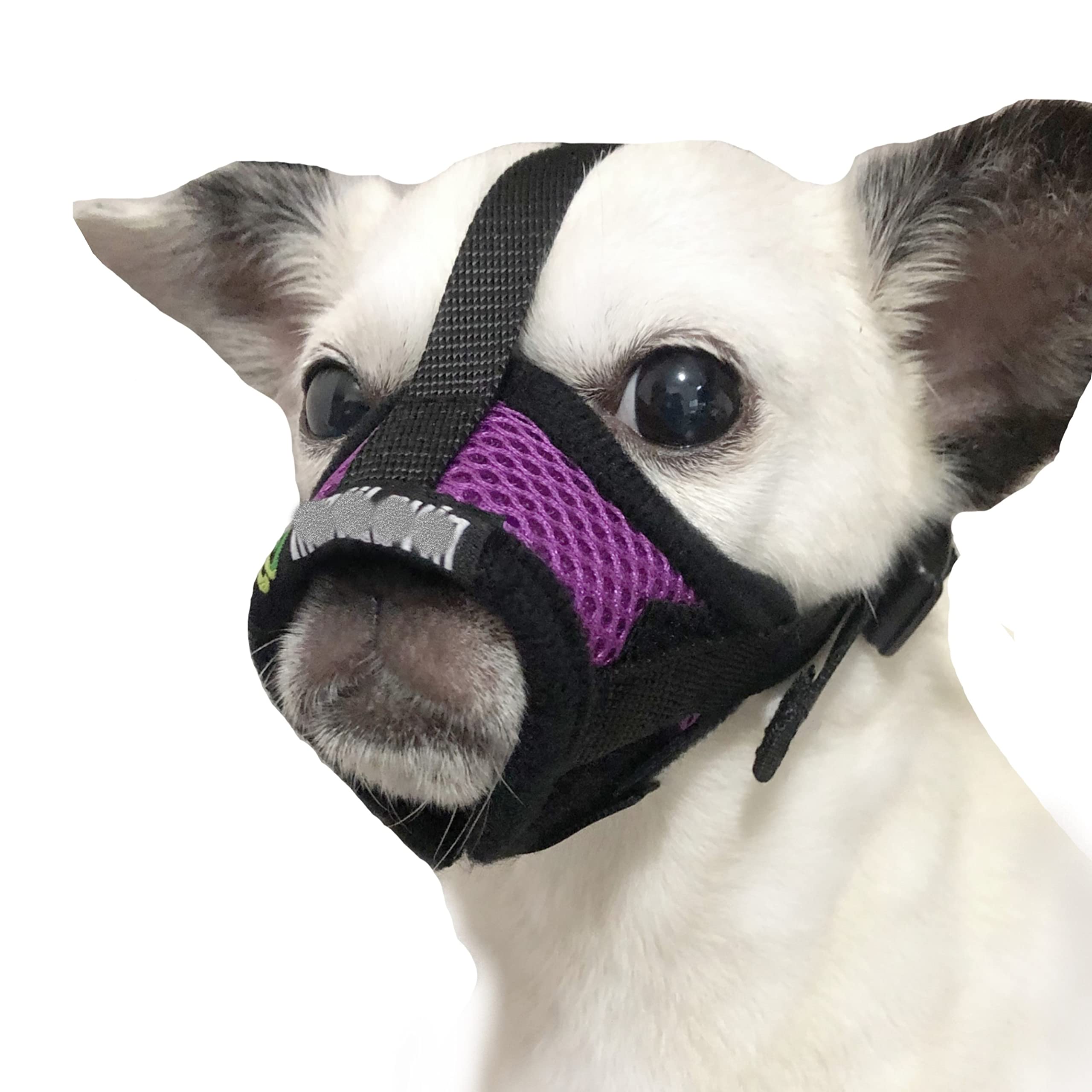 MoiiLavin Dog Muzzle, Breathable Mesh Muzzles for Small Dogs 5-15bls, Chihuahua Muzzle for Biting Barking, Adjustable Puppy Muzz