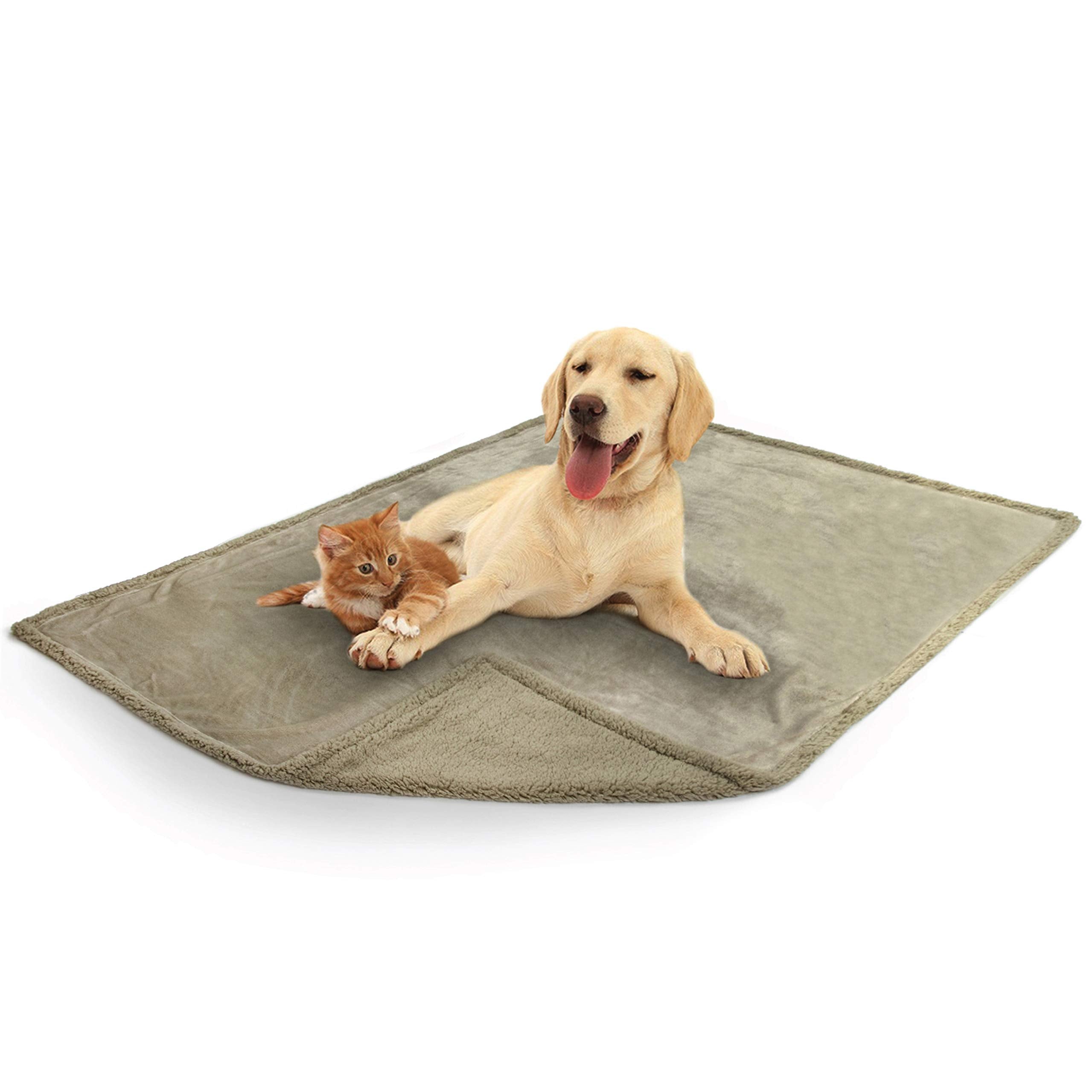 Petami Waterproof Dog Blanket For Medium Large Dog, Pet Puppy Blanket Couch Cover Protection, Sherpa Fleece Cat Blanket, Sofa Bed Furniture Protector Reversible Soft Plush Washable, 60X40 Taupe Taupe