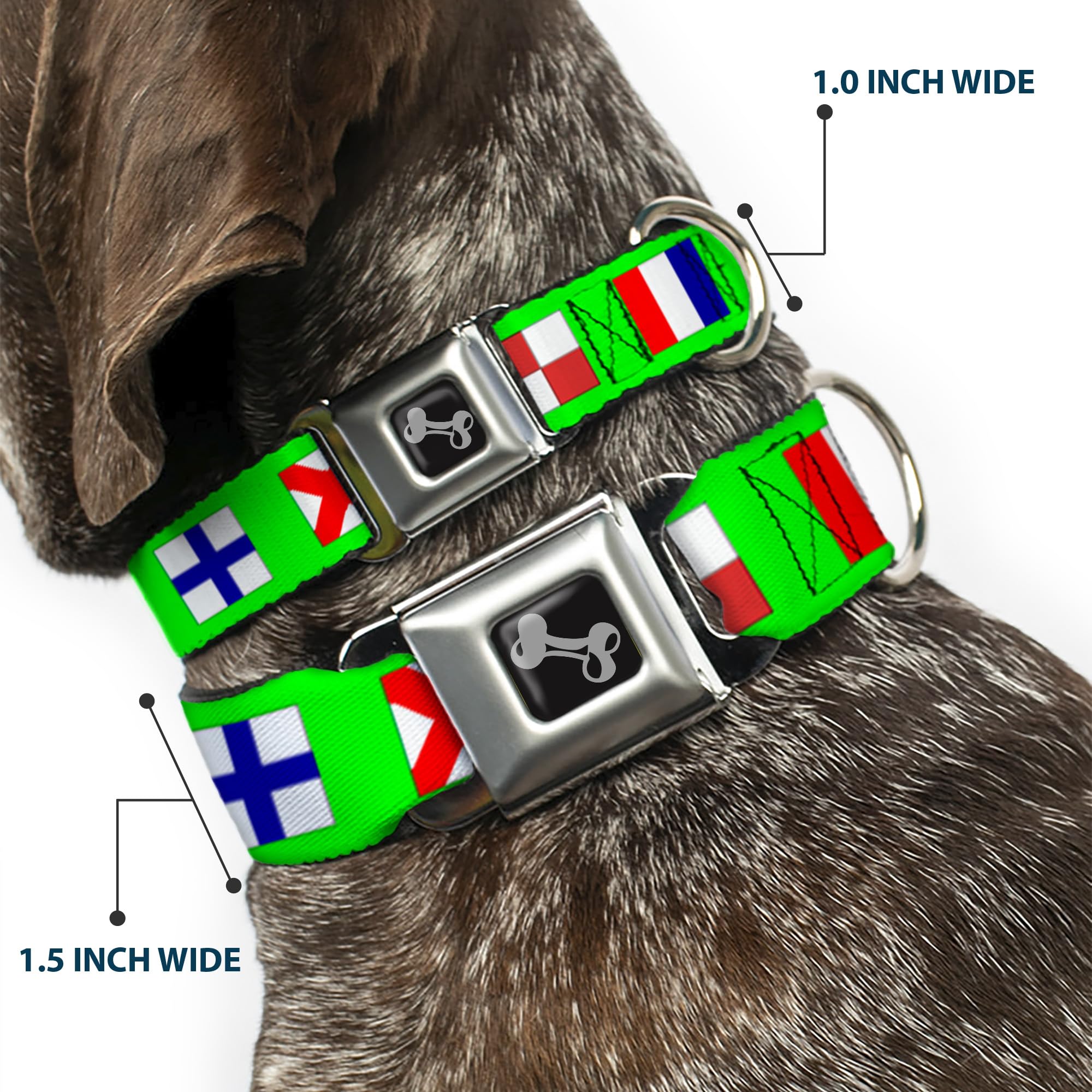 Dog Collar Seatbelt Buckle Nautical Flags Green Multi Color 11 To 17 Inches 1.0 Inch Wide