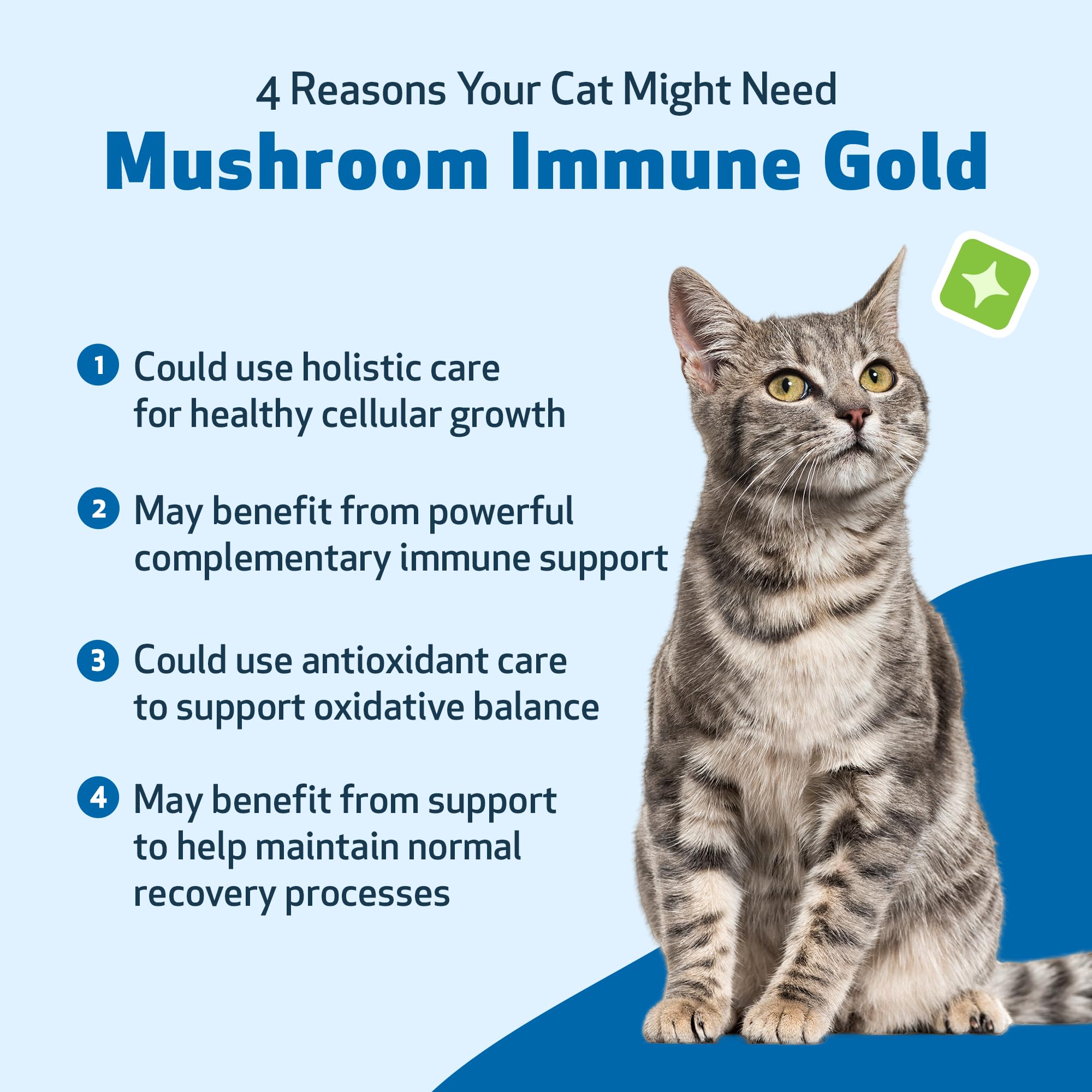 Pet Wellbeing Mushroom Immune Gold for Cats - Holistic Immune Support with Reishi, Maitake, Turkey Tail, and Milk Thistle - Vete