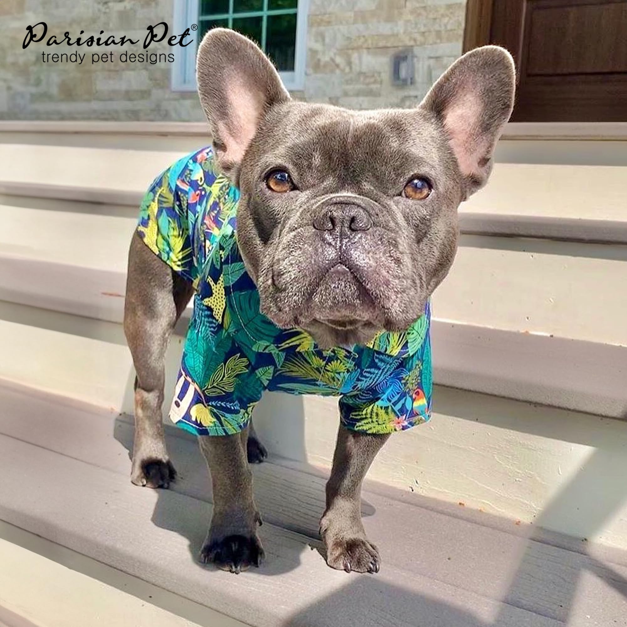 Parisian Pet Unisex Amazonia Shirt - Leafy Beach Outfit - Cotton Summer Clothes - Stylish Hook And Loop Dog Costume - Machine Wa