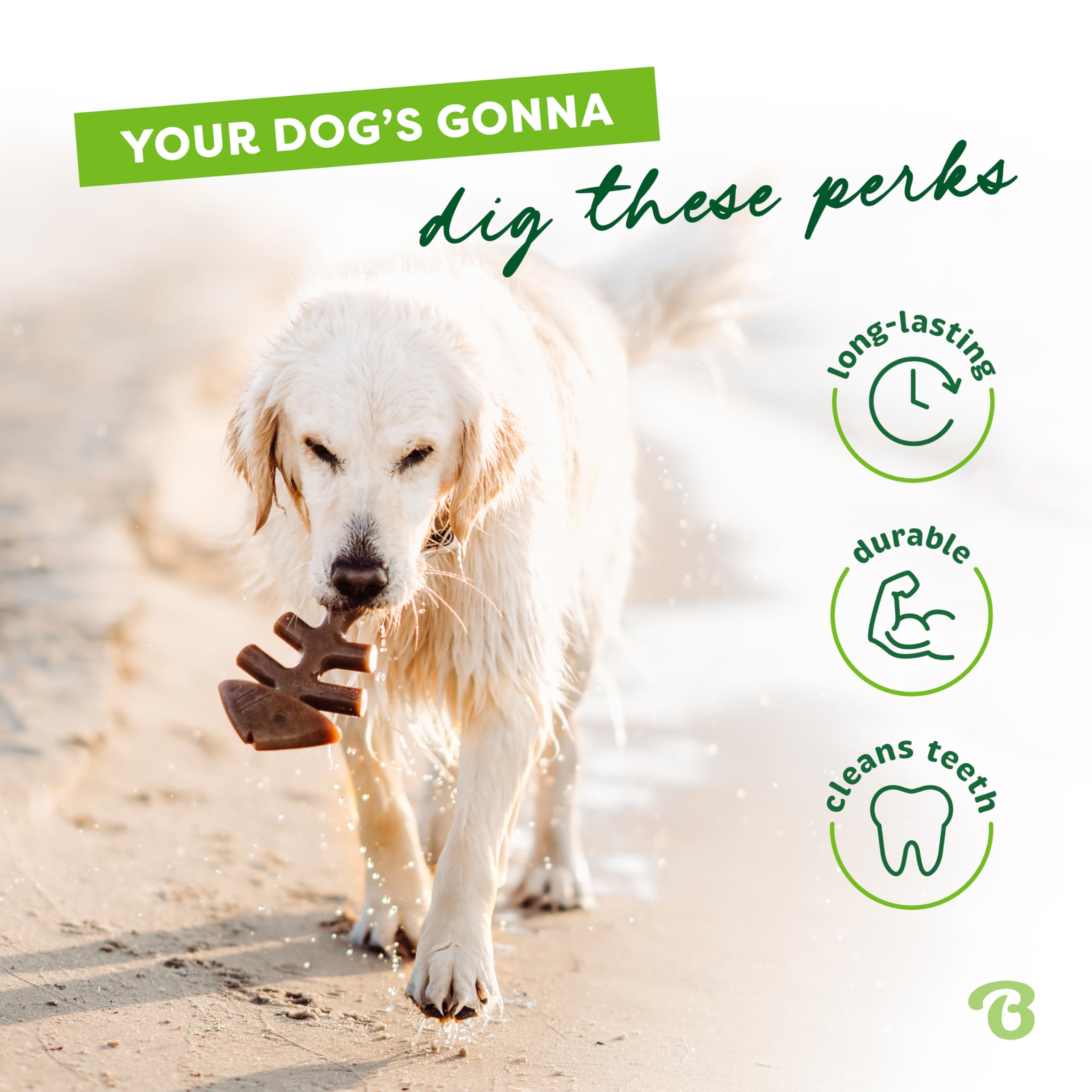 Benebone Tiny 2-Pack Fishbone Durable Dog Chew Toys, Real Fish Flavor, Made In Usa