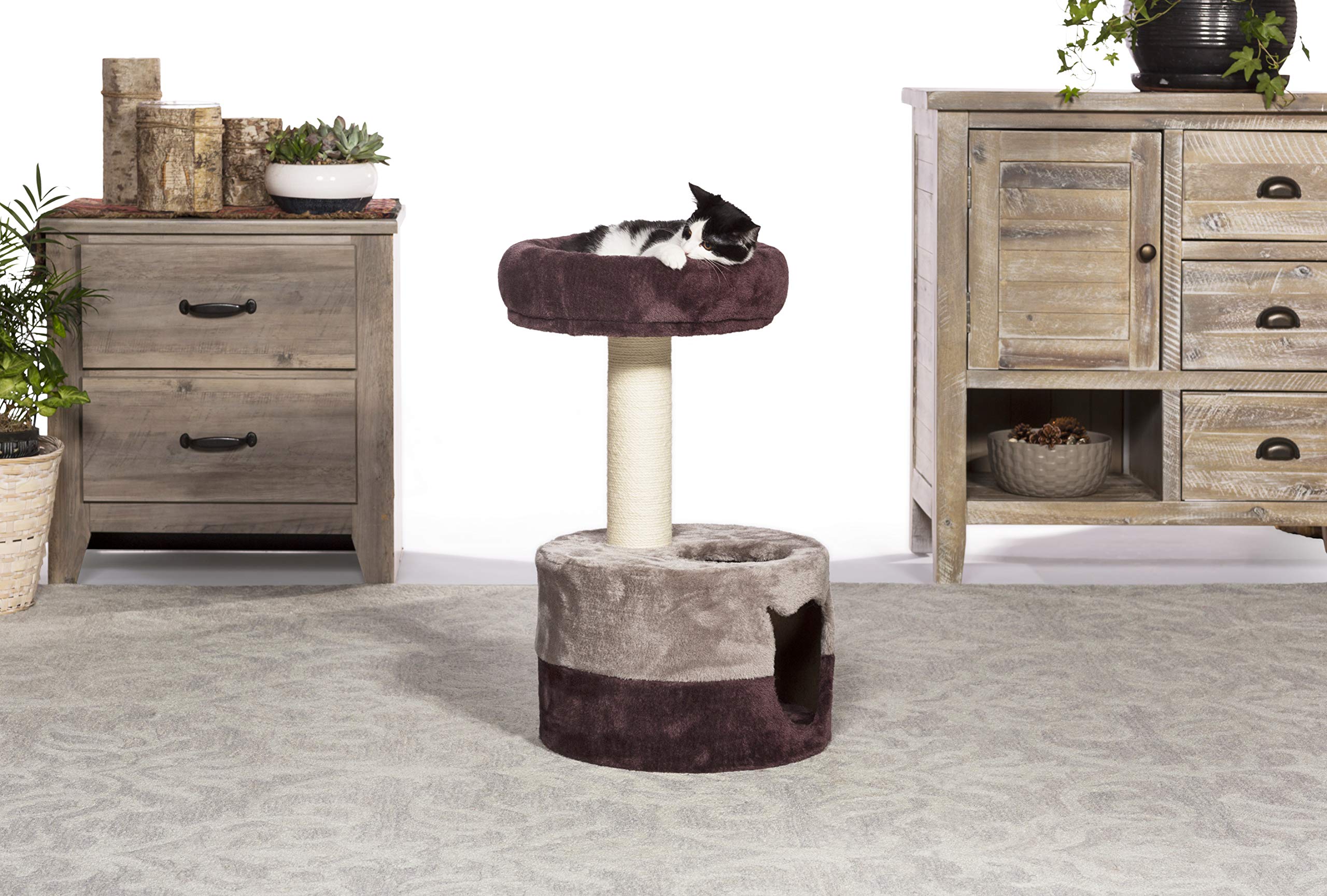 Prevue Hendryx Kitty Power Paws Kitty King