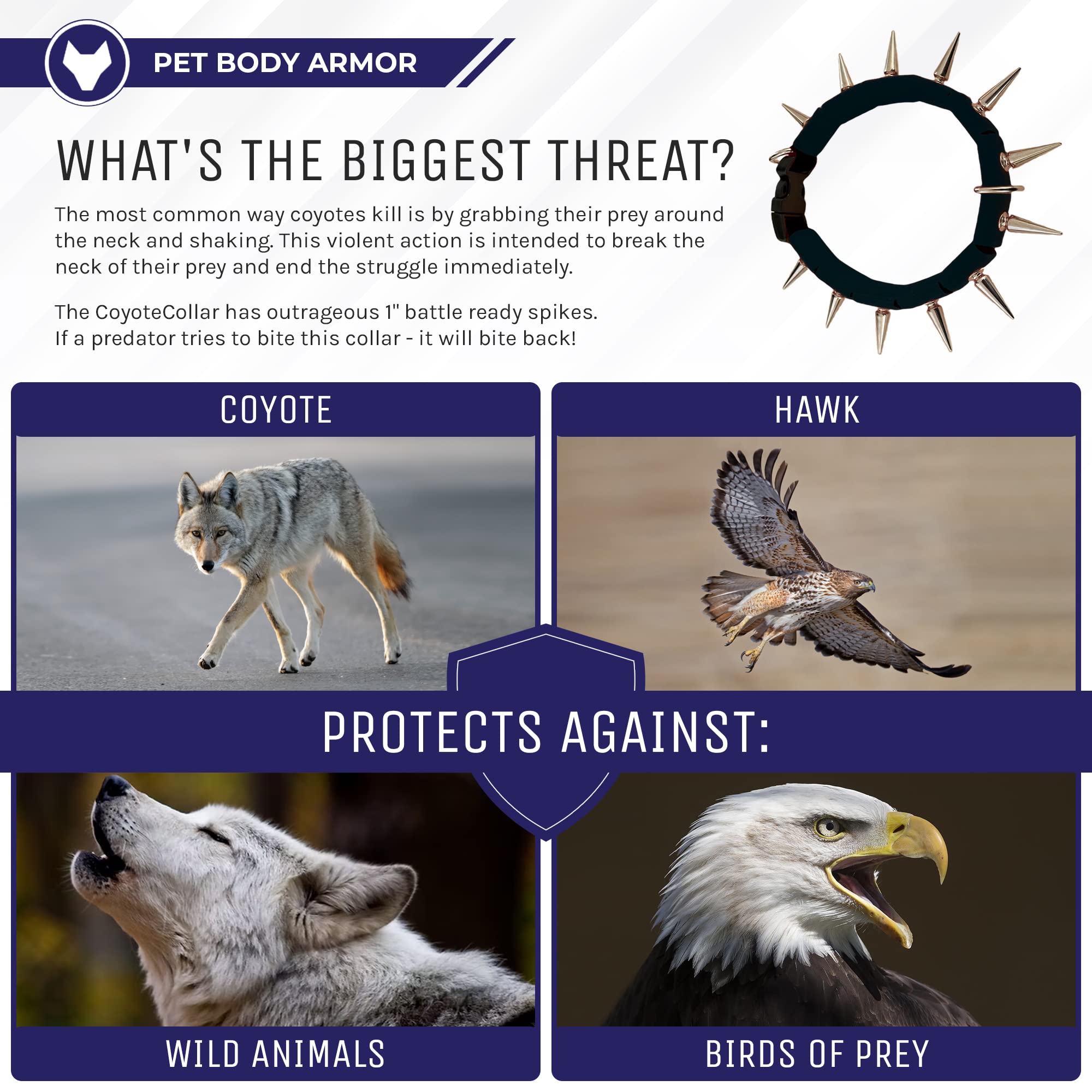 Coyotecollar Spiked Dog Collar - Medium Black Spike Collar, Adjustable, Studded, Protection Against Coyotes And Aggressive Dogs