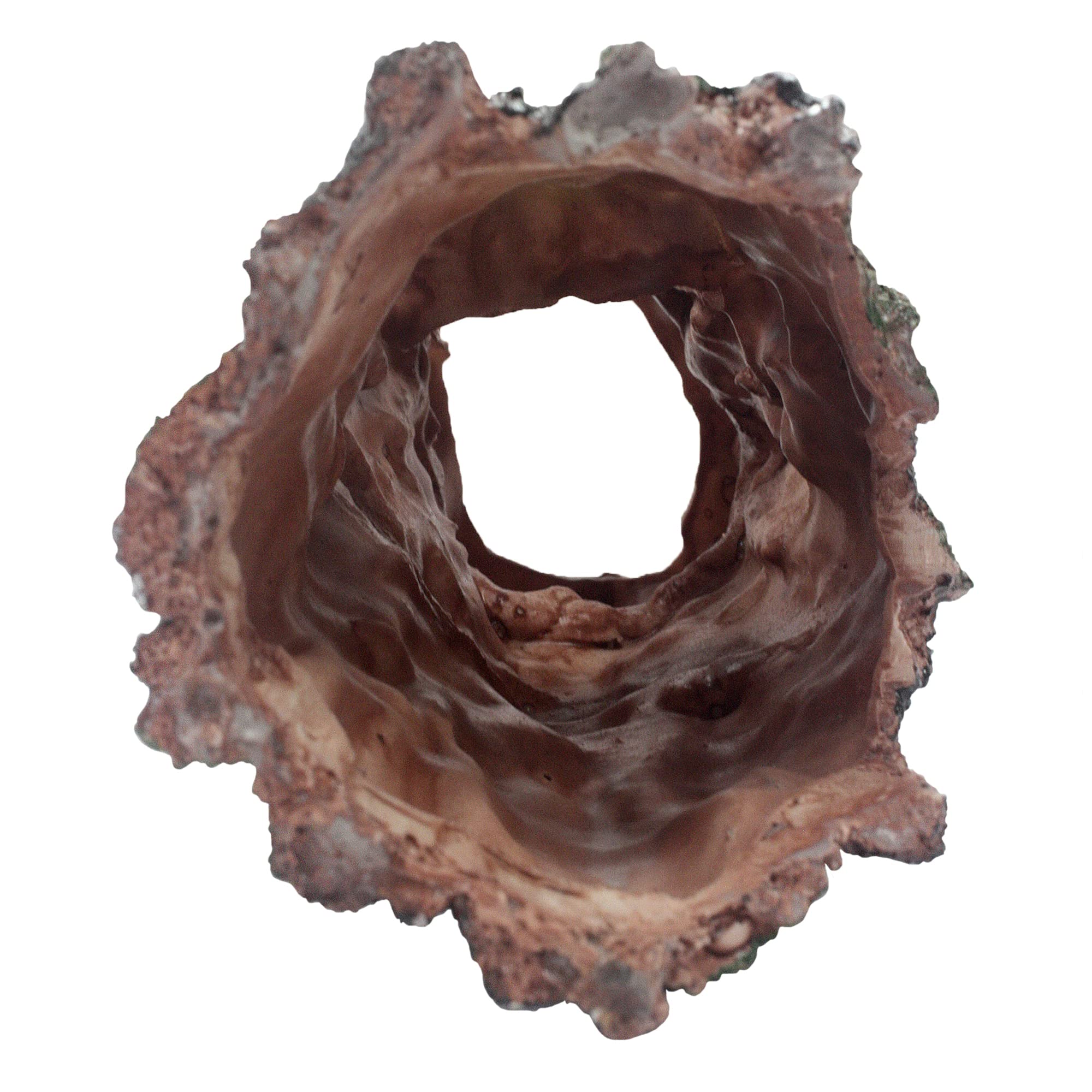 Komodo Forest Log Large | Natural Looking Hideout | Under Water Aquarium Or Dry Habitat Decoration Accessory