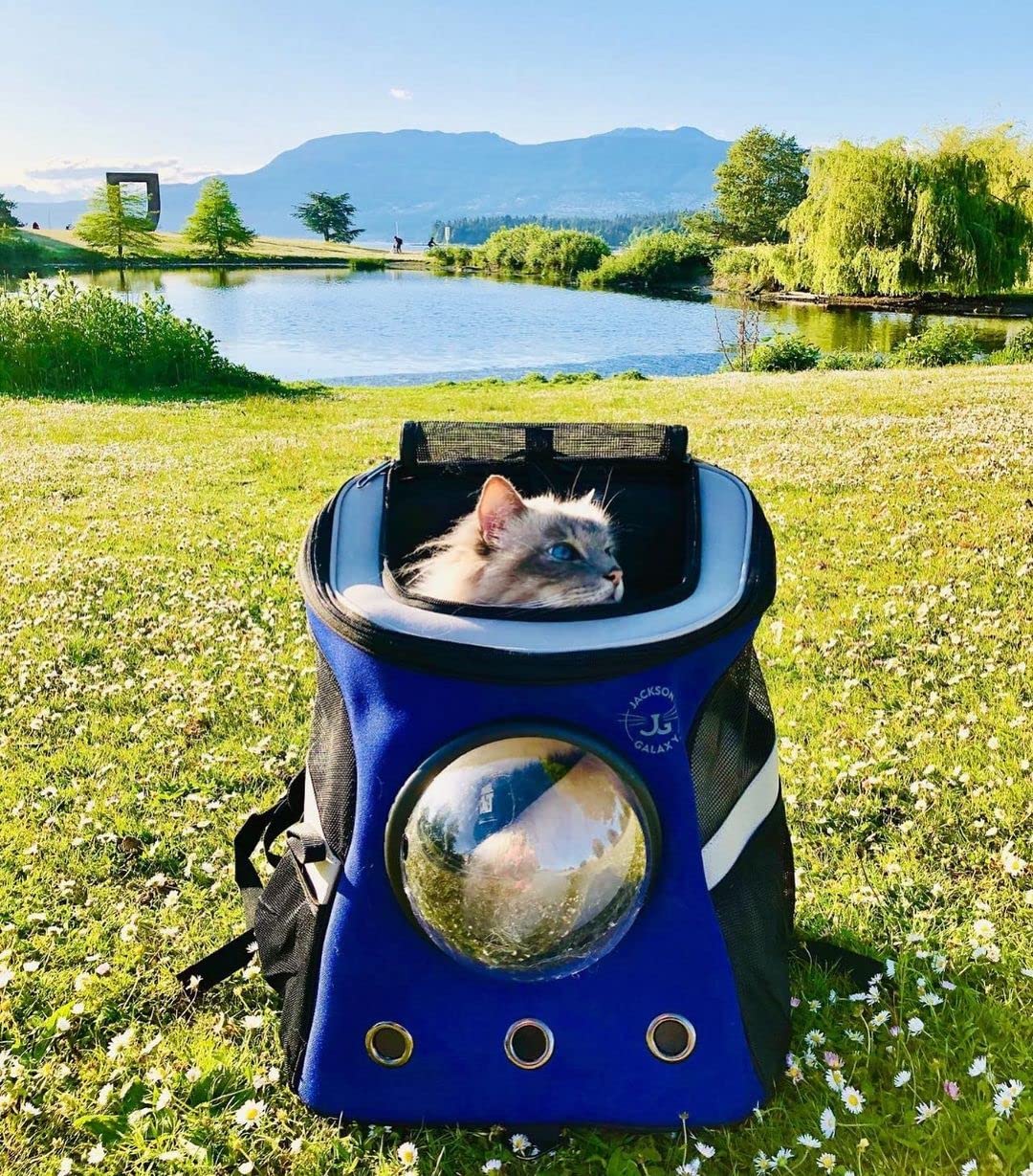 Your Cat Backpack Carrier Bag - Jackson Galaxy Airline Approved Cat Carrier With Space Capsule Bubble For Small Cats, Kitten - Premium Cat Carrier Backpack For Outdoor, Travel, Hiking, Pet Supplies