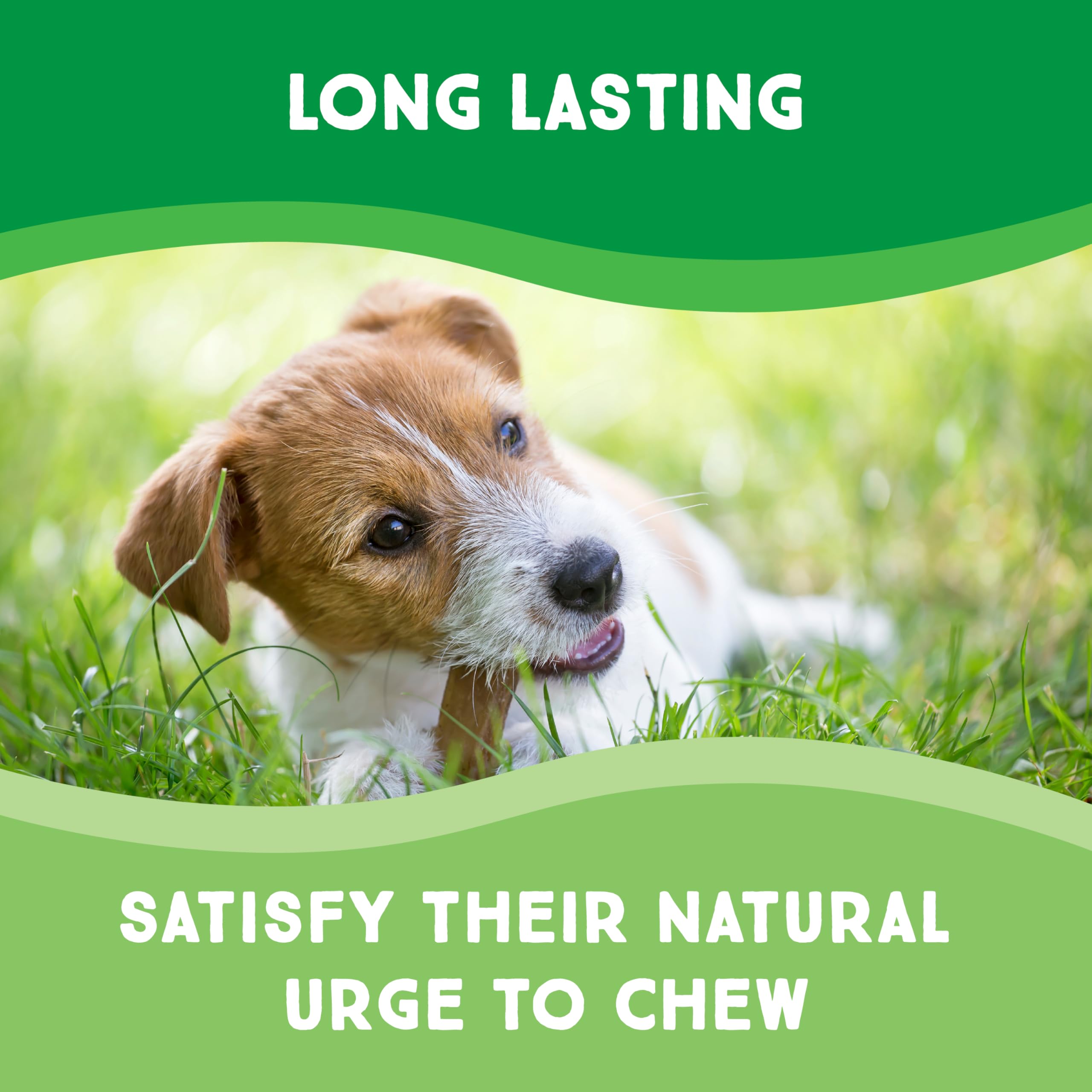 GreenCow Rawhide Chips 5-Pound Bag - Premium Large Dog Rawhide Chews - Ideal for Agressive Chewers Dog Rawhide Treats - Durable