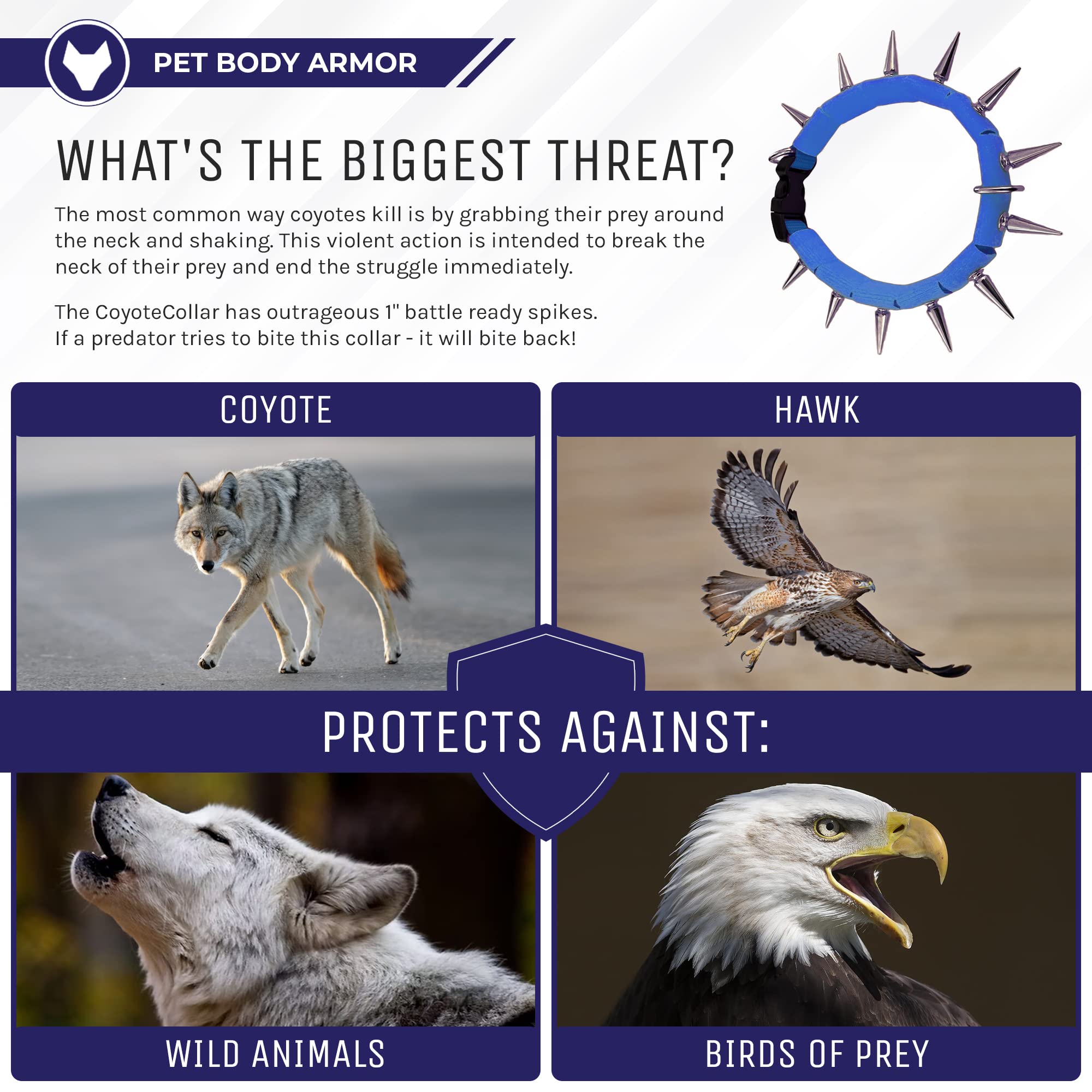 Coyote Collar Medium Spike Collar - Blue Studded For Dogs, Adjustable, Protection Against Coyotes And Aggressive Dogs