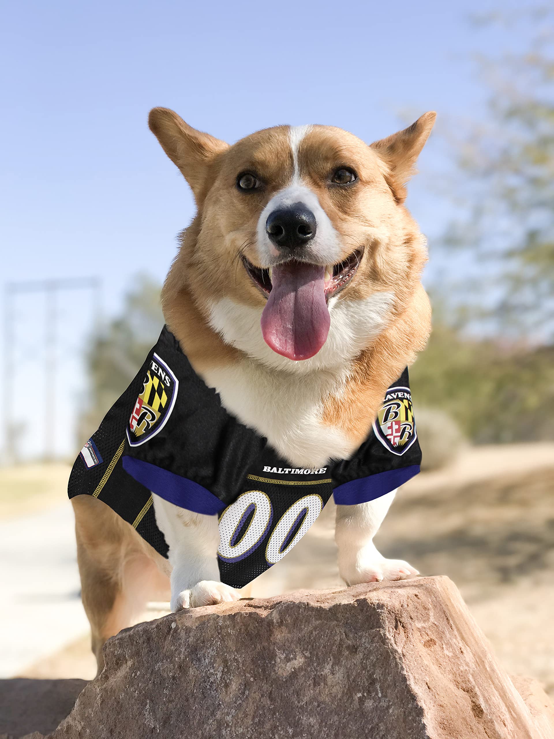 Nfl Baltimore Ravens Dog Jersey, Size: Xx-Large. Best Football Jersey Costume For Dogs & Cats. Licensed Jersey Shirt.