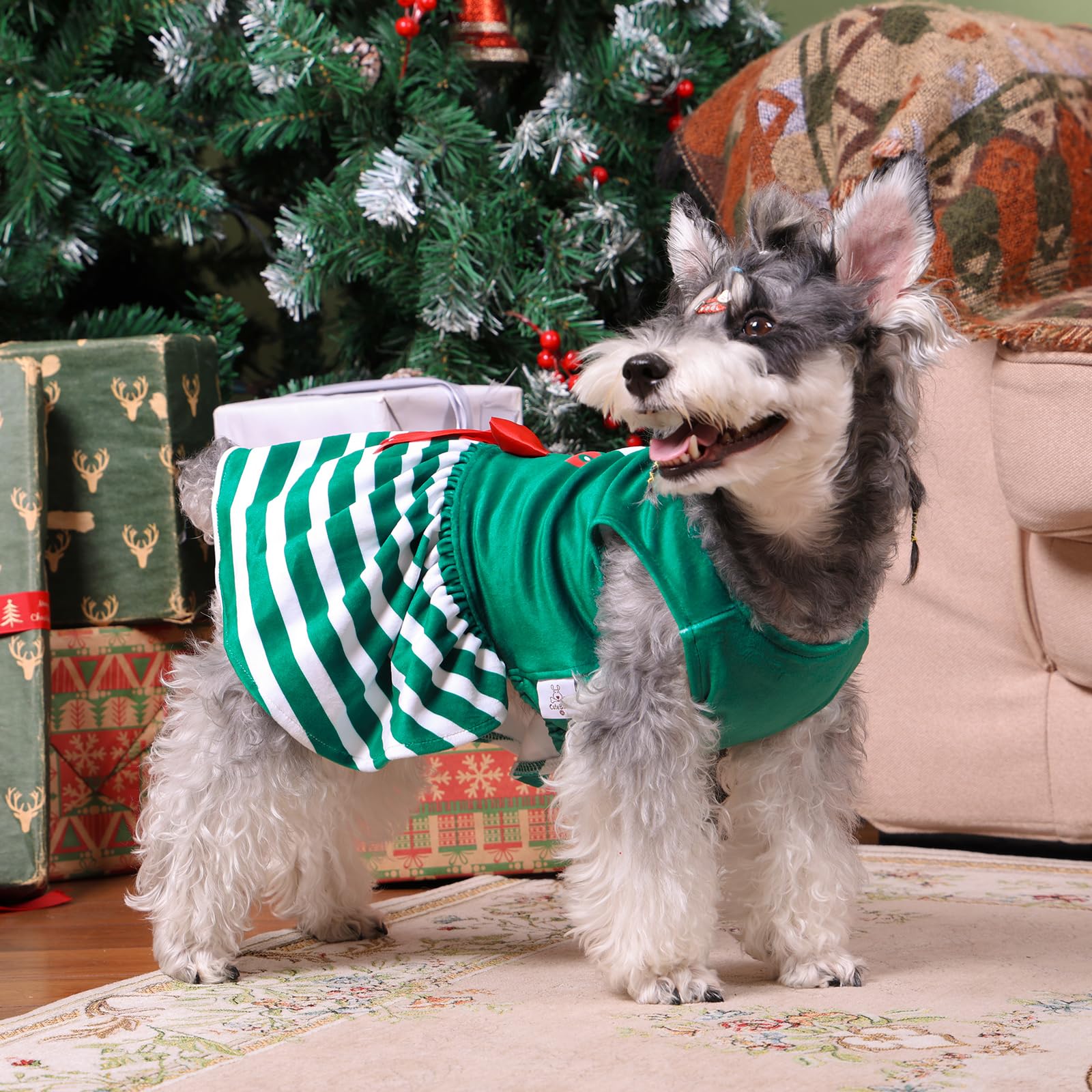 Cutebone Elf Dog Dresses Velvet Holiday Small Dogs Clothes Onesie Pet Apparel Girl Puppy Skirt With Bow Hair Rope Cva55L-D